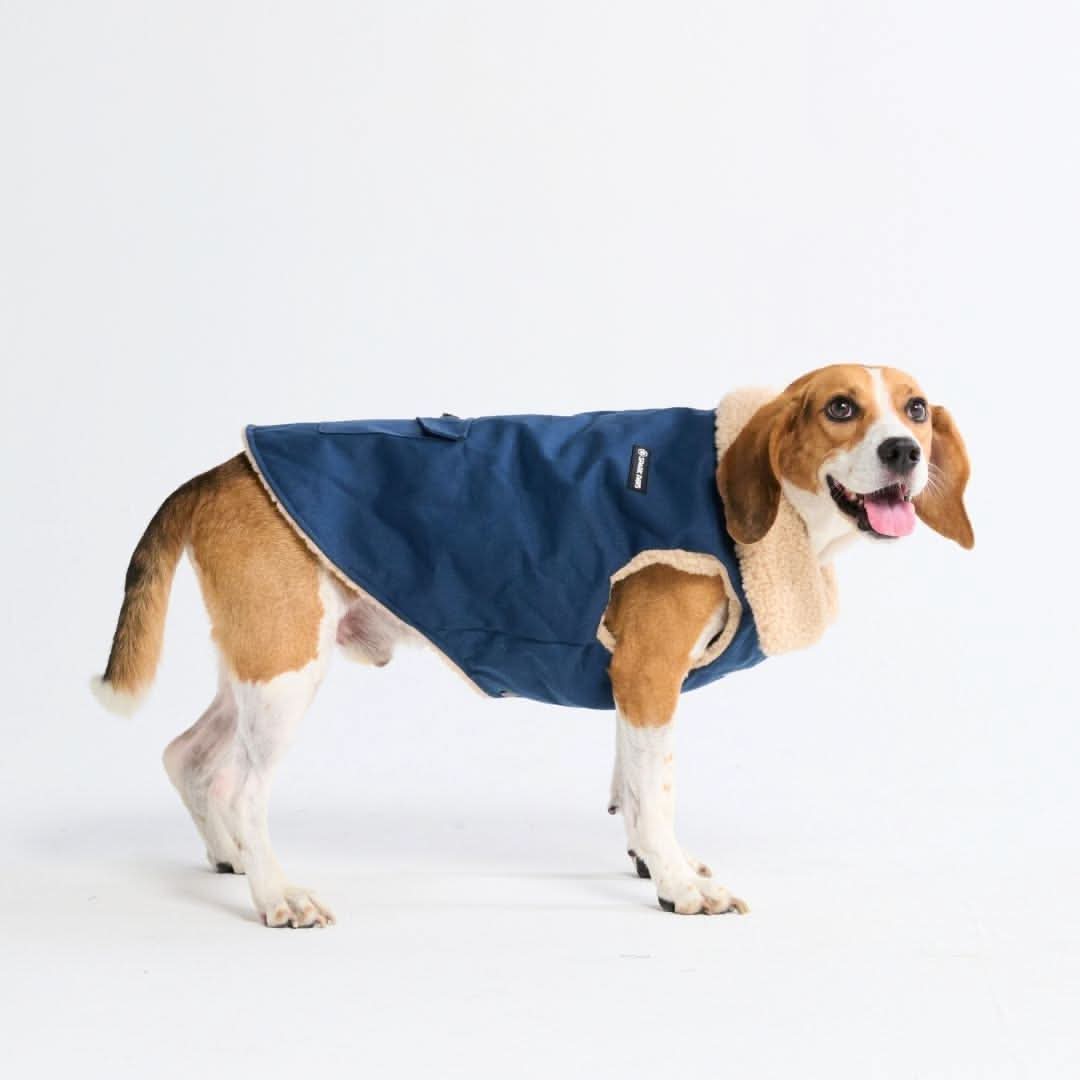 Workdog Insulated Utility Jacket Jackets - Image 5