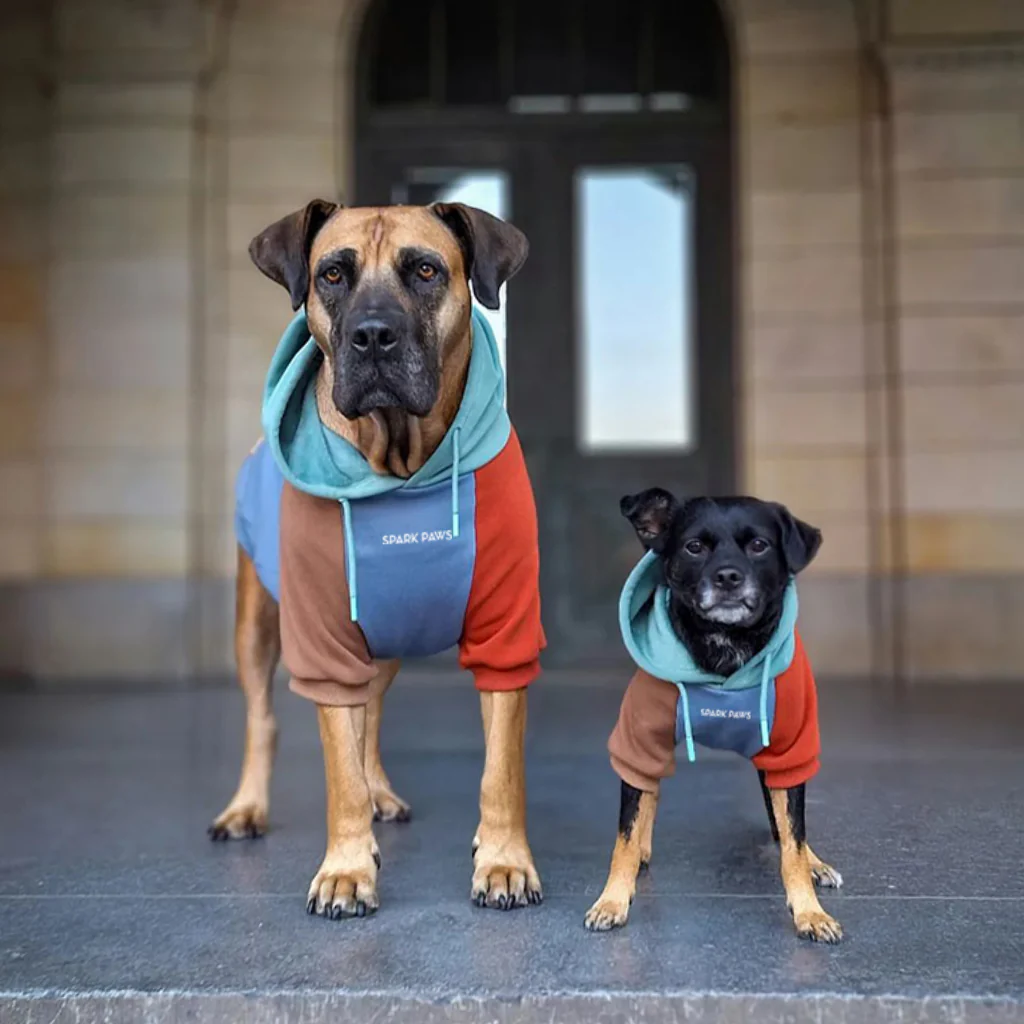 Color Block Dog Hoodies - Image 26
