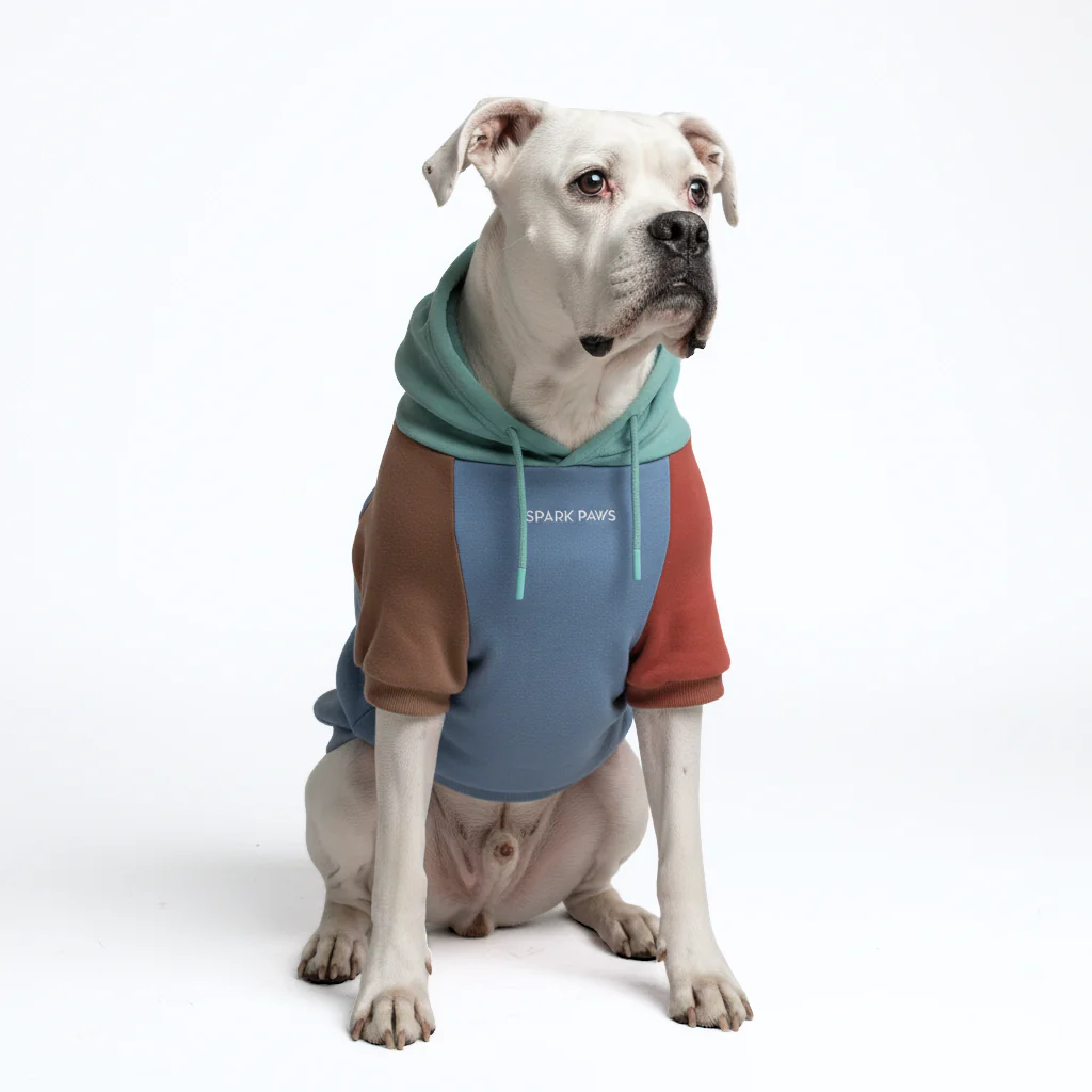 Color Block Dog Hoodies - Image 20