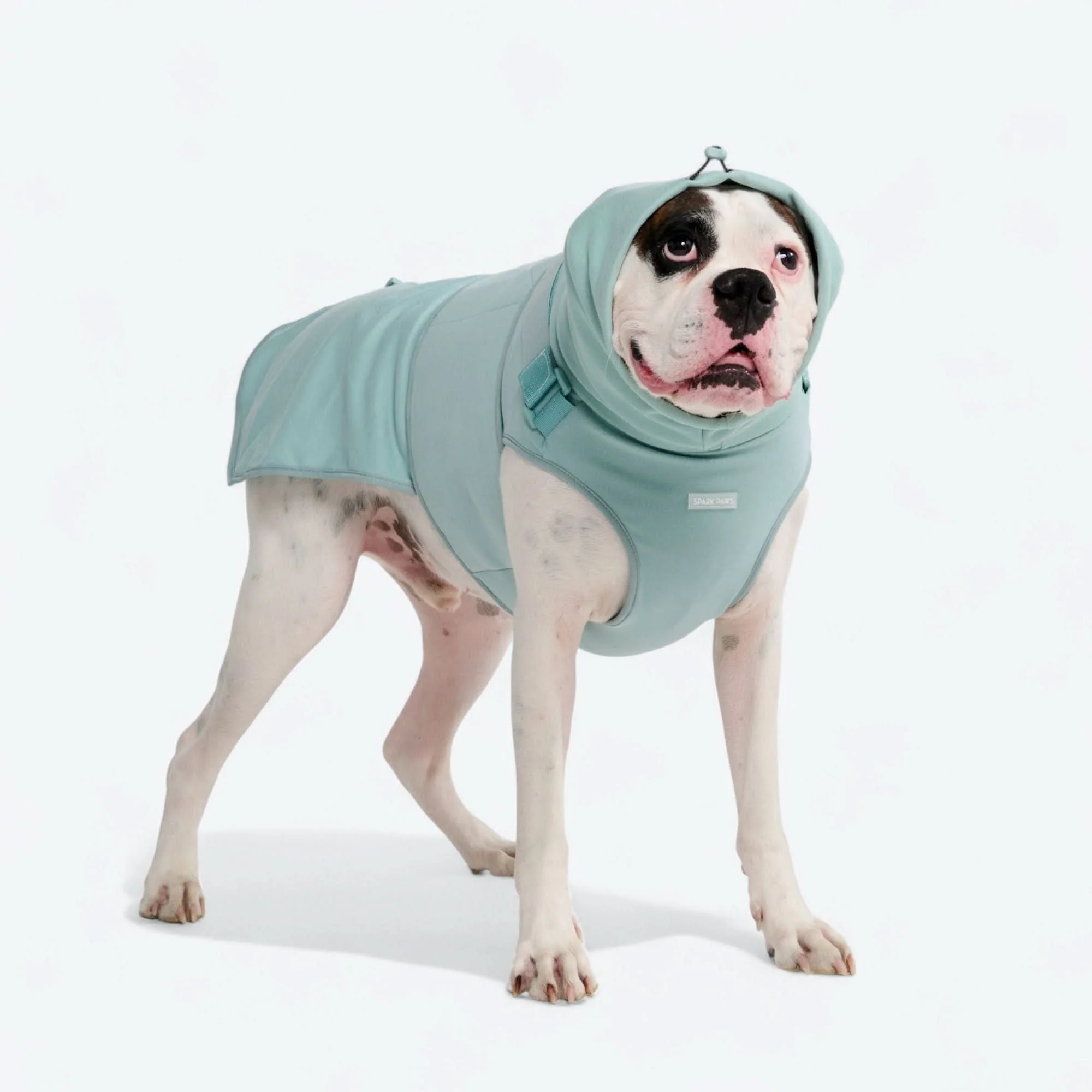 Anxiety Calming Suit - Teal - Image 8