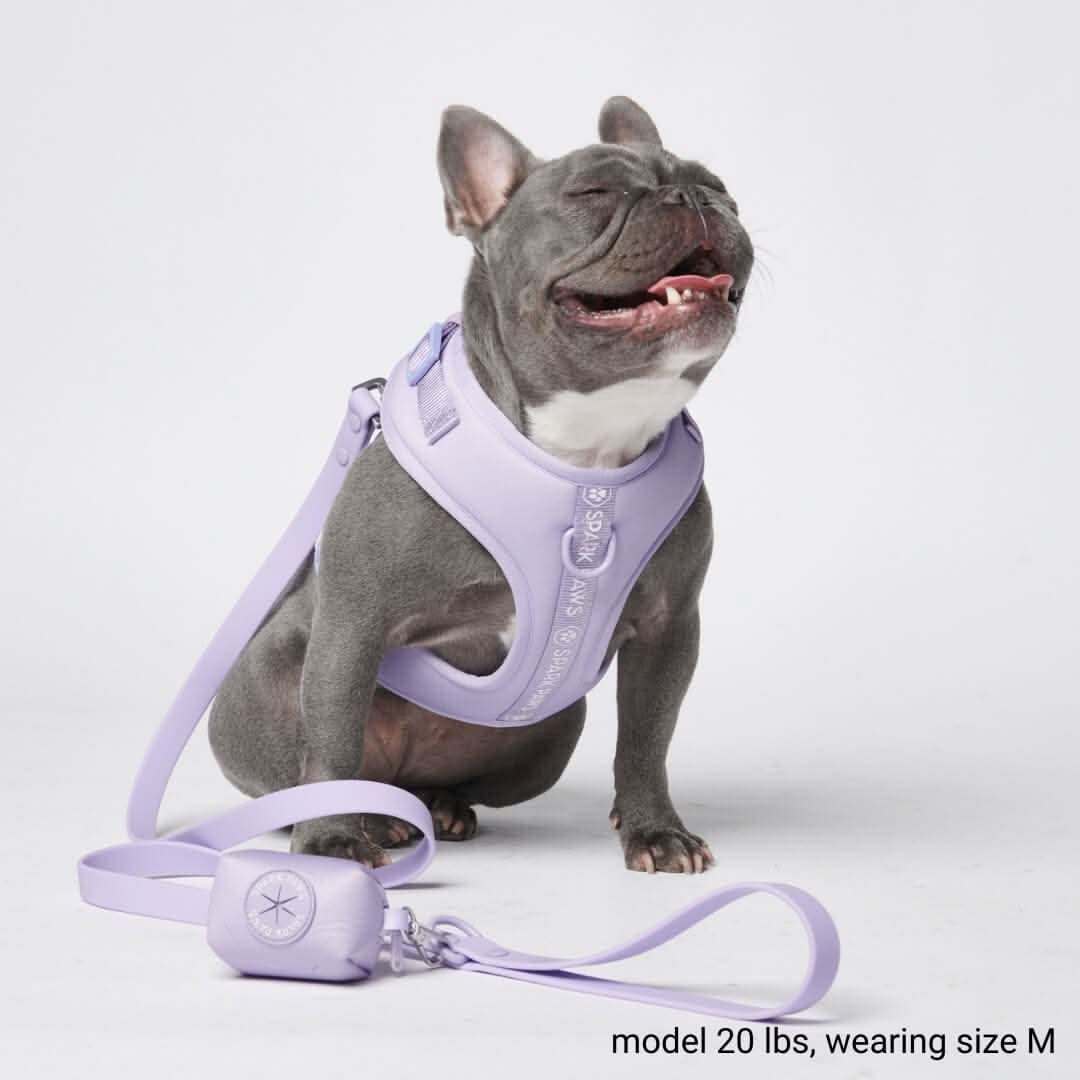 Ultra-Soft Activewear Harness Set (Multi) - Image 6