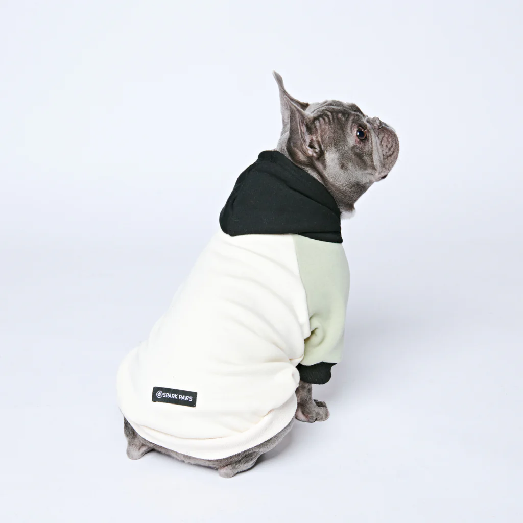 Olive Cream Dog Hoodie - Image 11