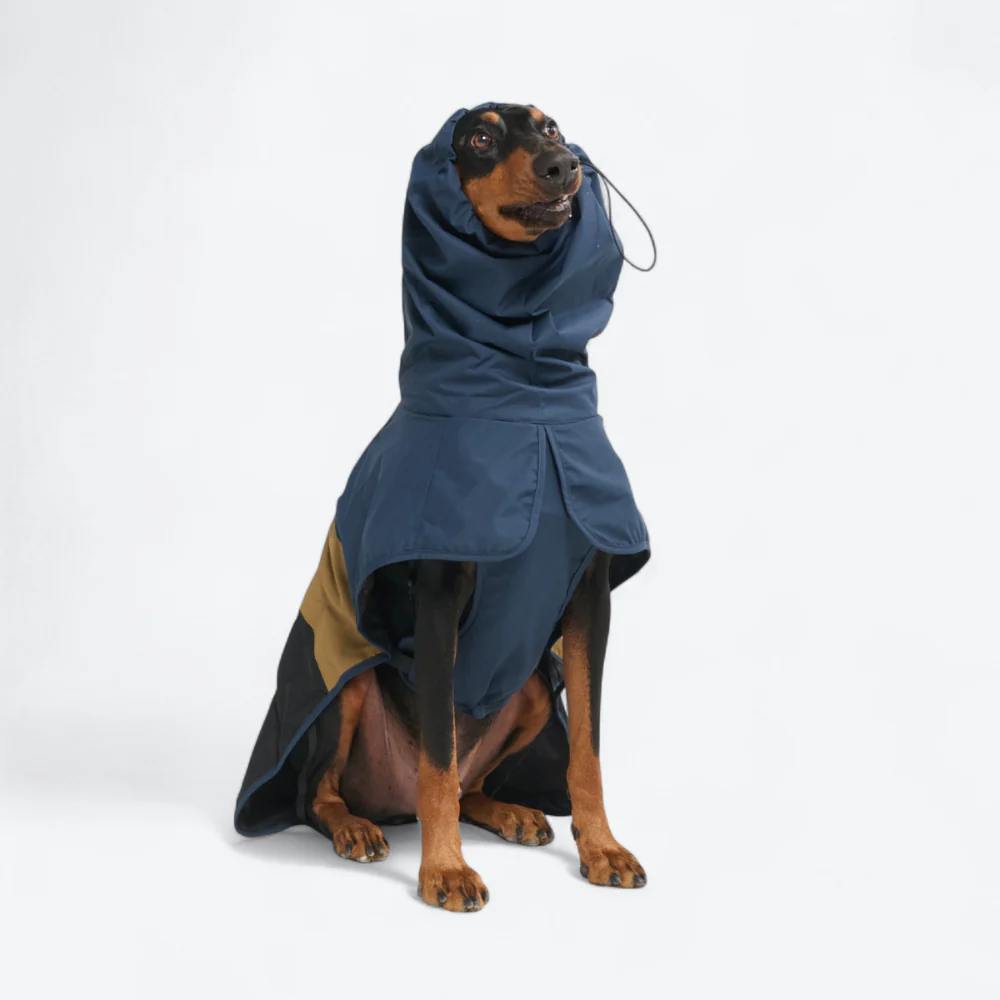 Breatheshield™ Dog Raincoat (Multi-Color) - Image 85