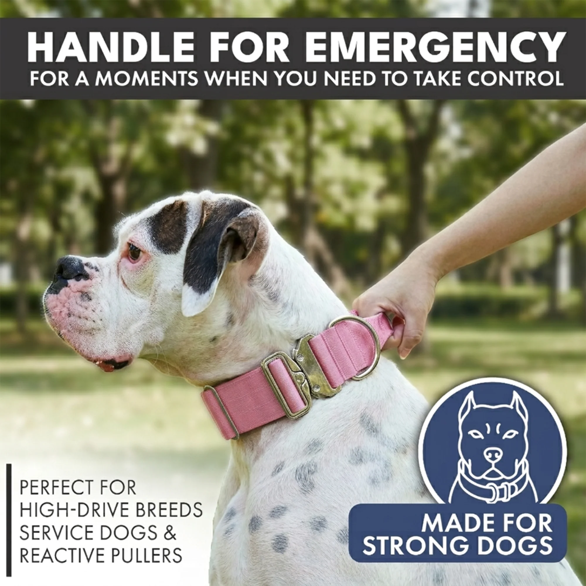 Comfort Control Collar and Multipurpose Leash Sets - Image 51