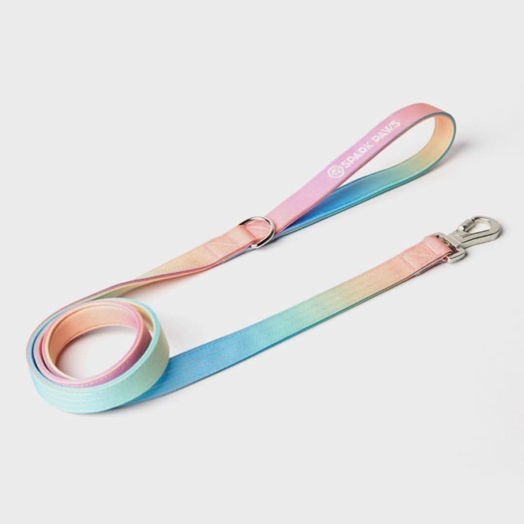 Comfort Control Dog Leash (Multi Color) - Image 7
