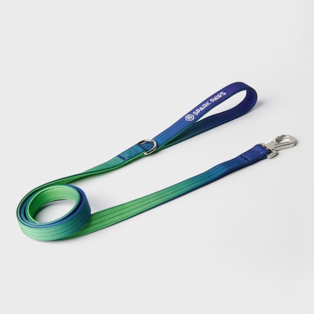 Comfort Control Dog Leash (Multi Color) - Image 8