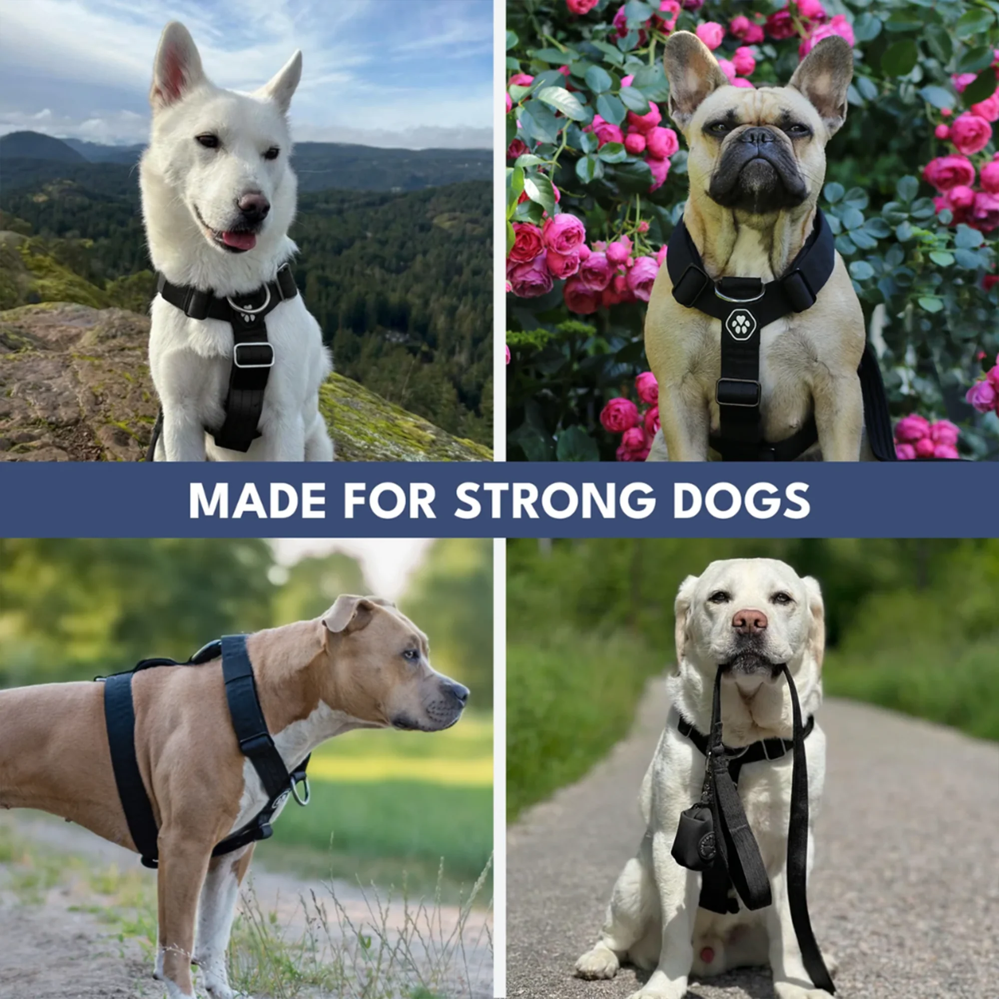 Comfort Control No-Pull Dog Harness and Multipurpose Leash Sets - Image 30