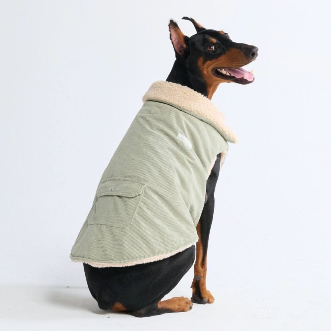 Corduroy Insulated Jacket - Mint - Image 4