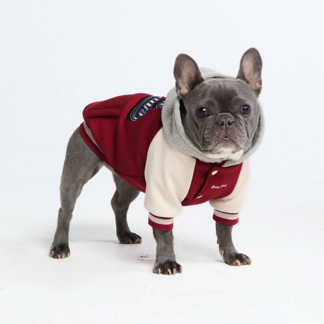 Dog Varsity Jacket - Red - Image 5