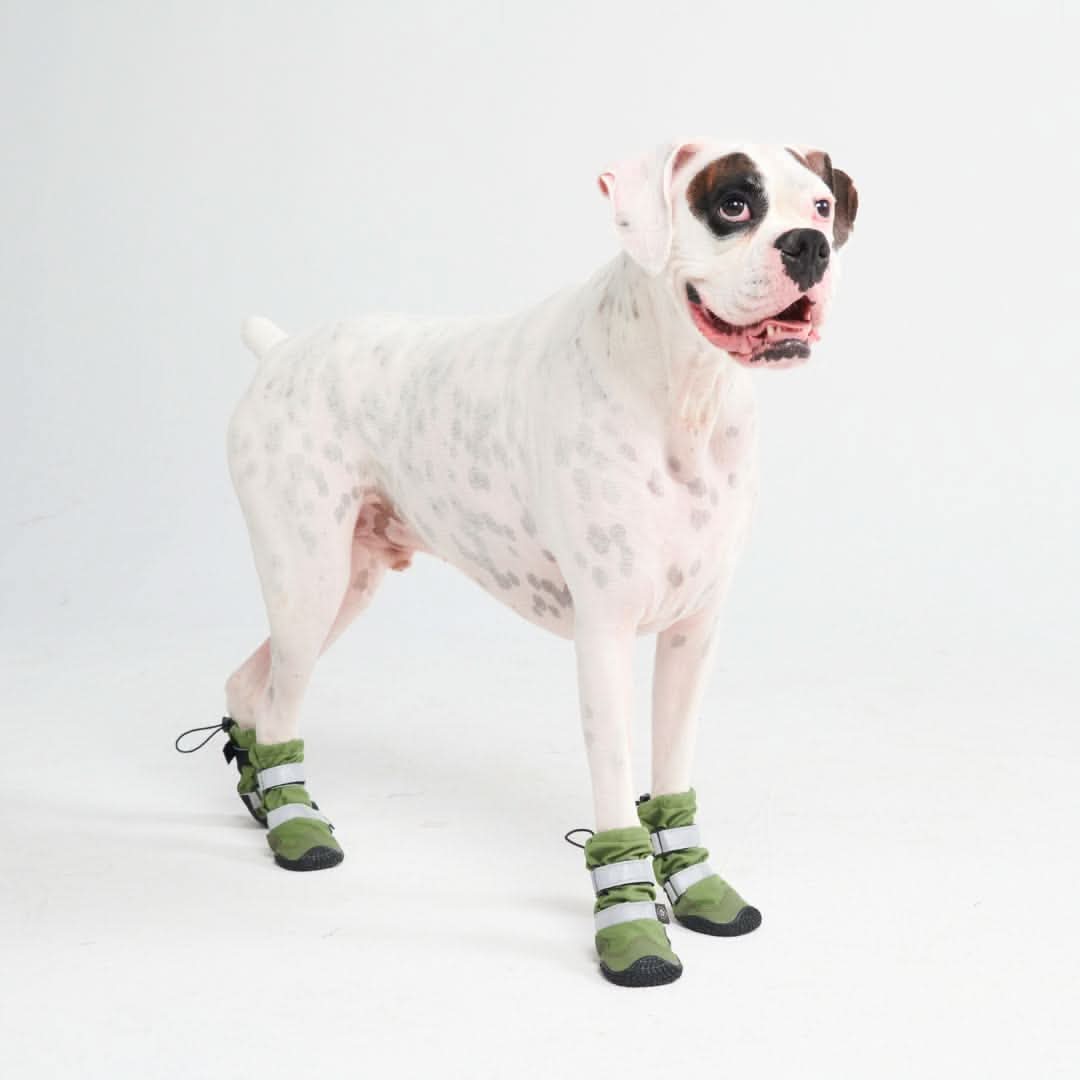 Dog Rainboots, Waterproof Dog Shoes - Green - Image 5