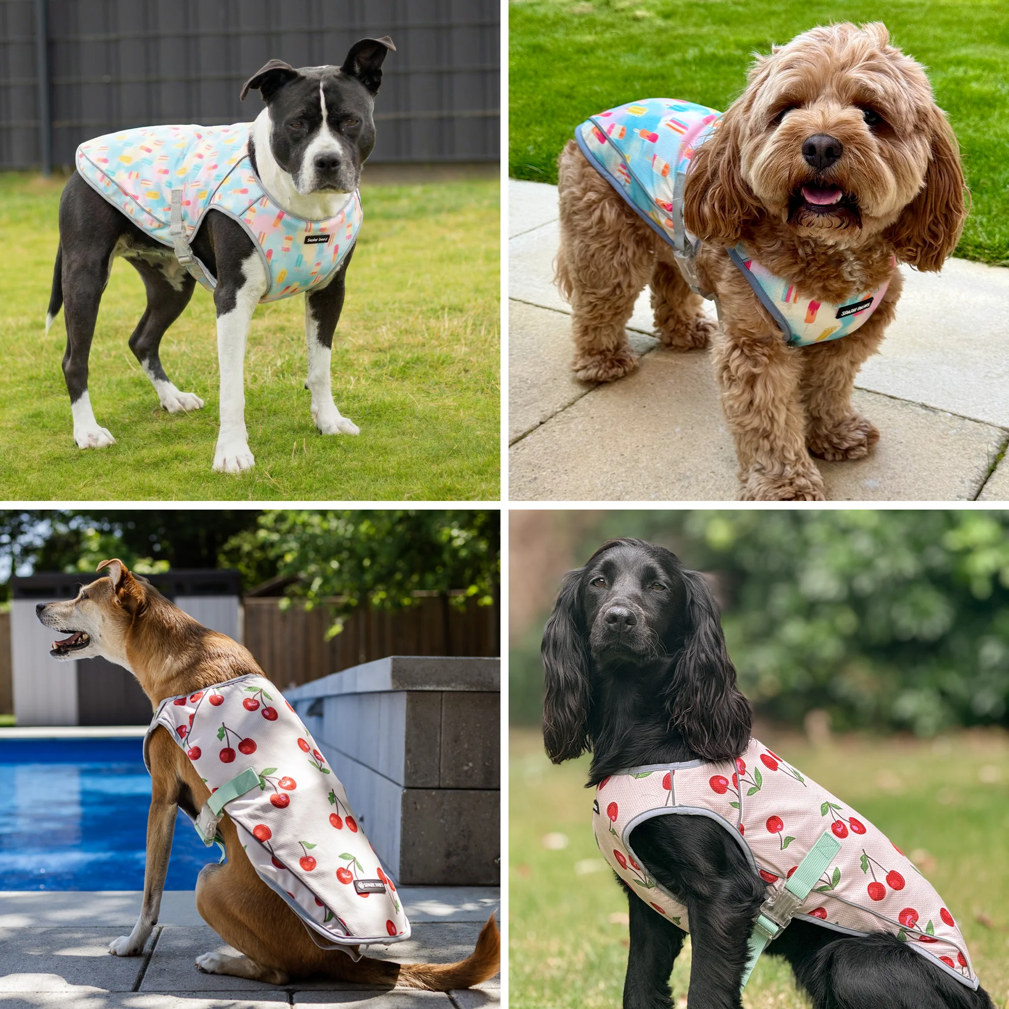 Chilltech™ Dog Cooling Vest 2 Pack - Image 45