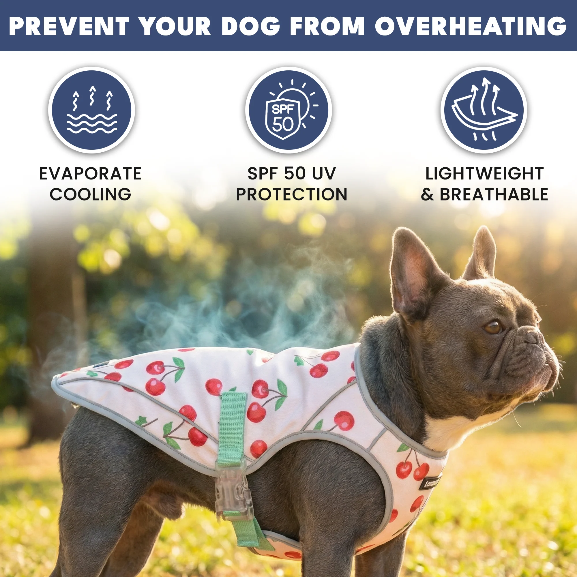 Dog Cooling Vest - Cherries - Image 5