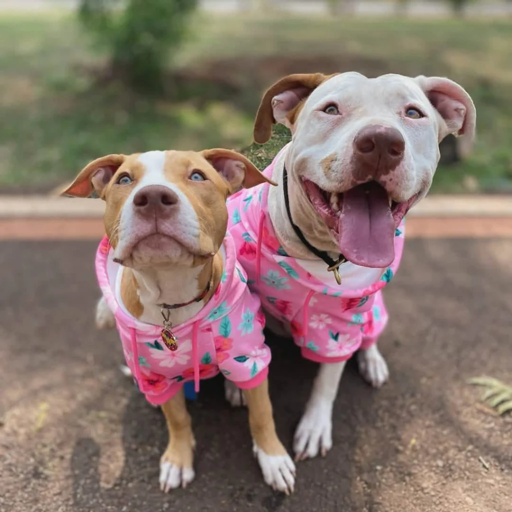 Dog Hoodie Prints - Image 47