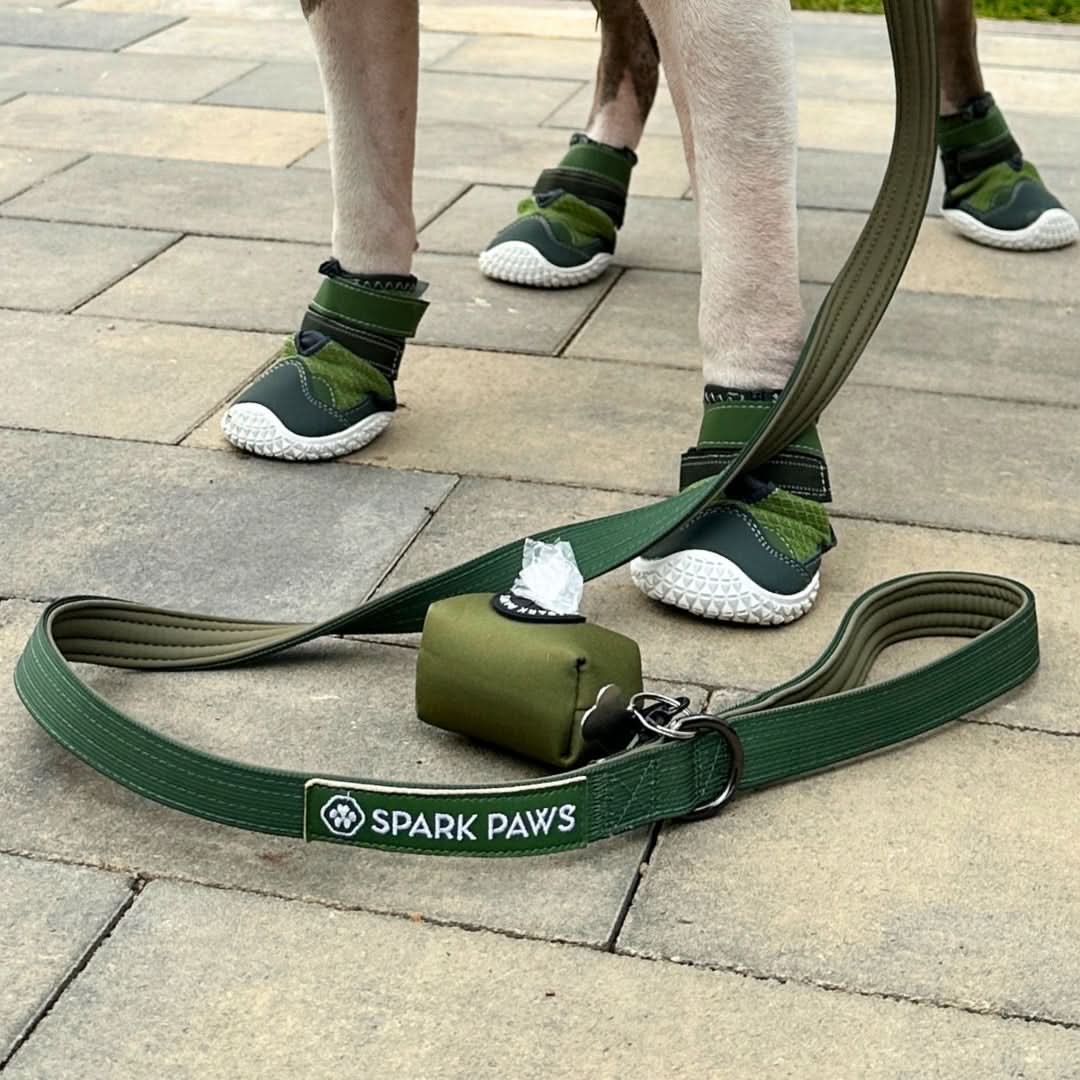 Leash and Poop Bag Holder Set - Image 27
