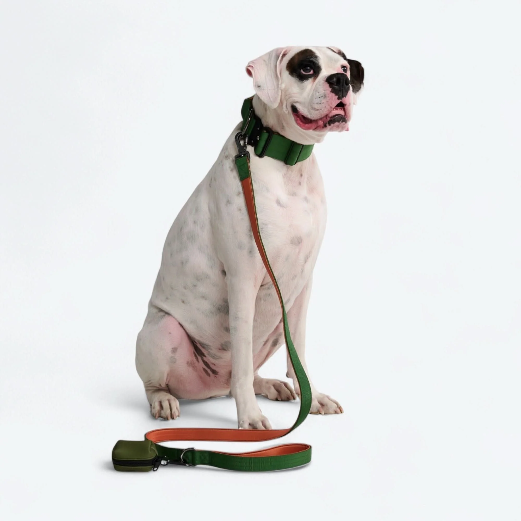 Leash and Poop Bag Holder Set - Image 62