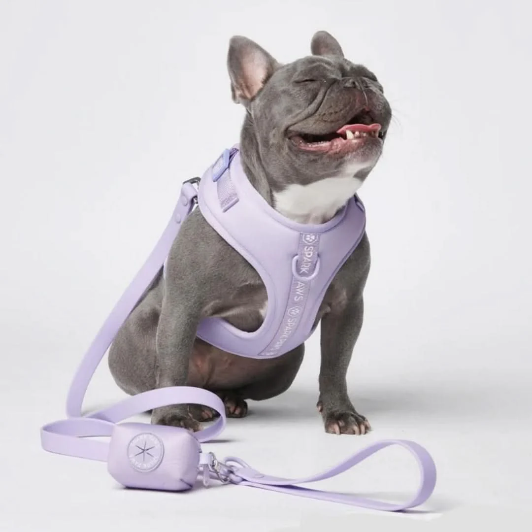 Leash and Poop Bag Holder Set - Lilac - Image 4