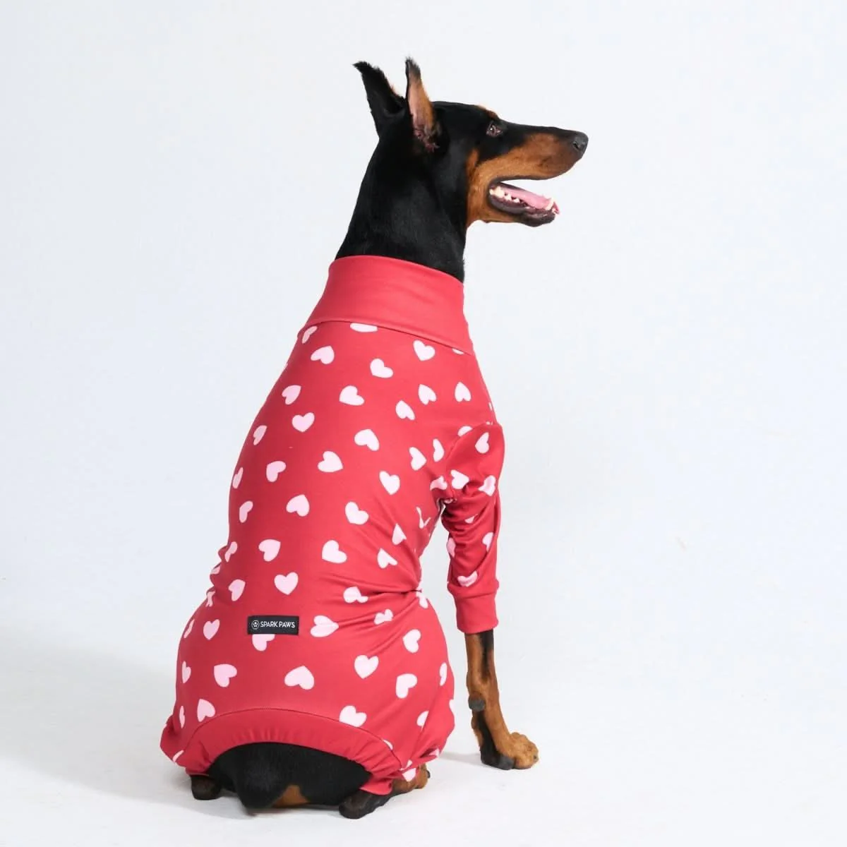 Dog Pajama Prints - Image 21