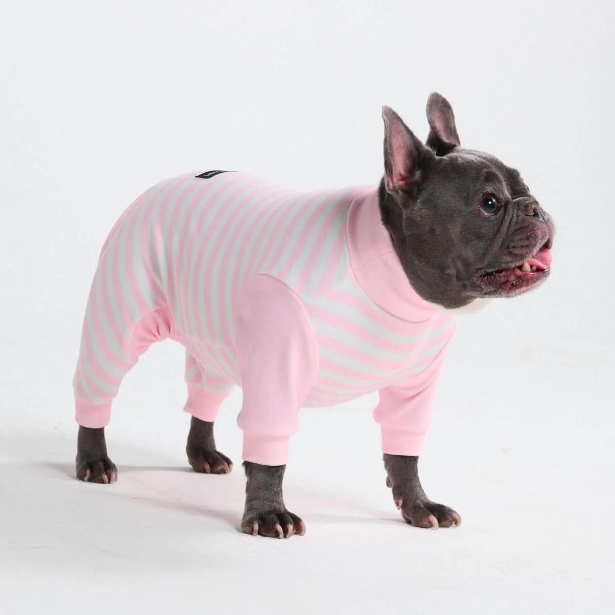Dog Pajama Prints - Image 55