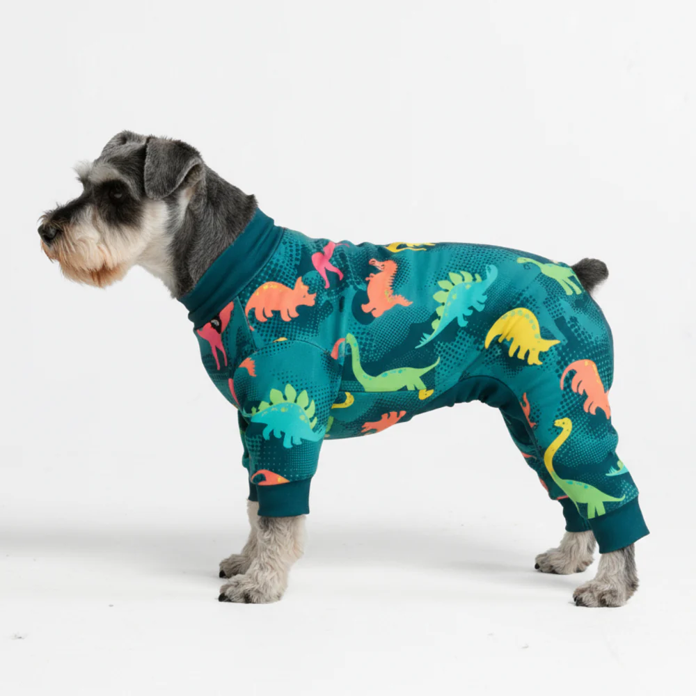 Dog Pajama - Dinosaurs - Image 3
