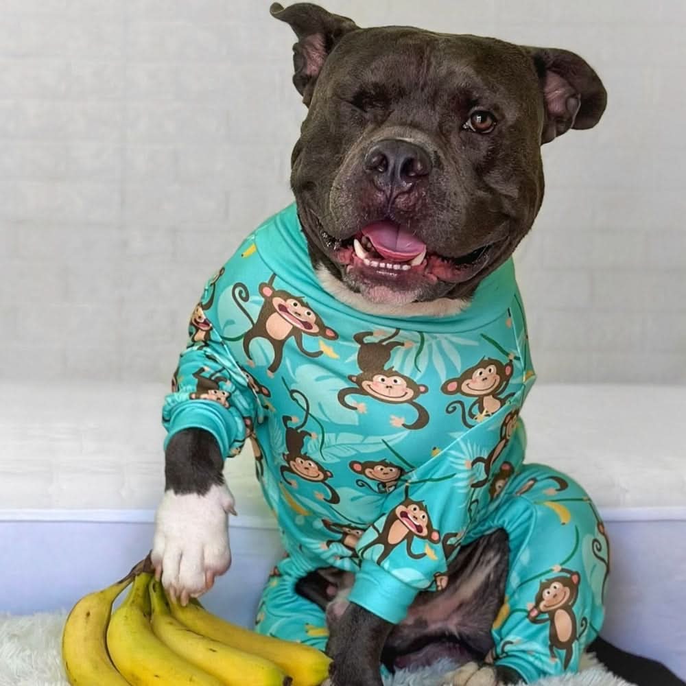 Dog Pajama - Monkey Business - Image 12