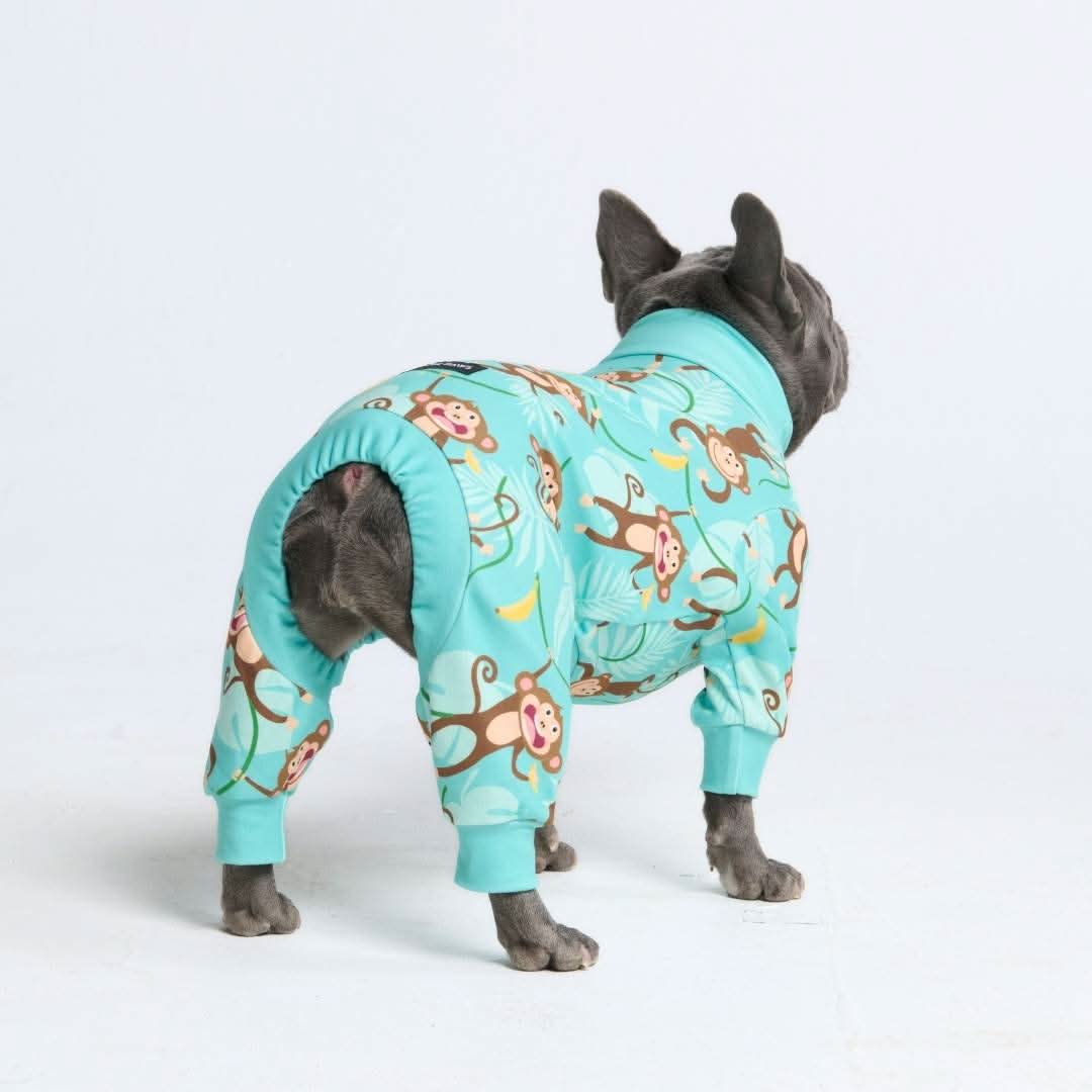 Dog Pajama - Monkey Business - Image 9