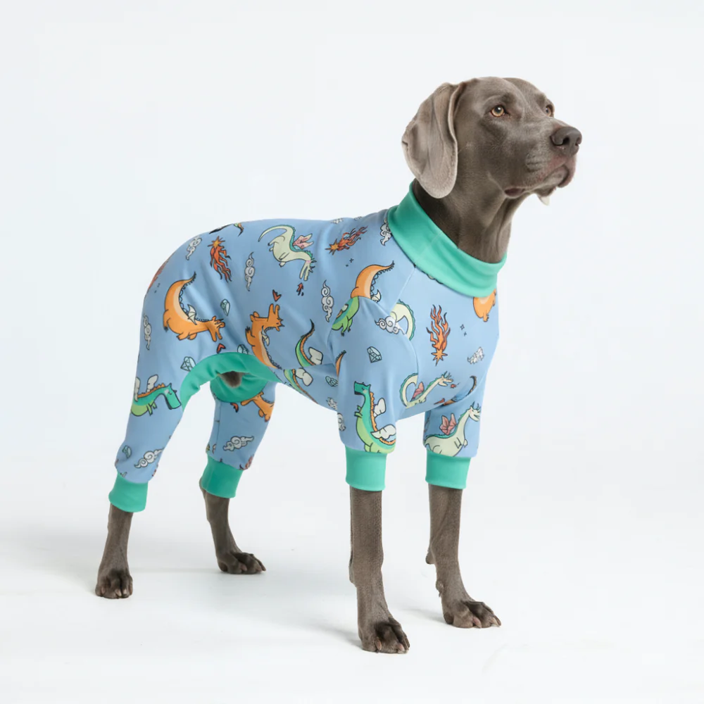 Dog Pajama Prints - Image 30
