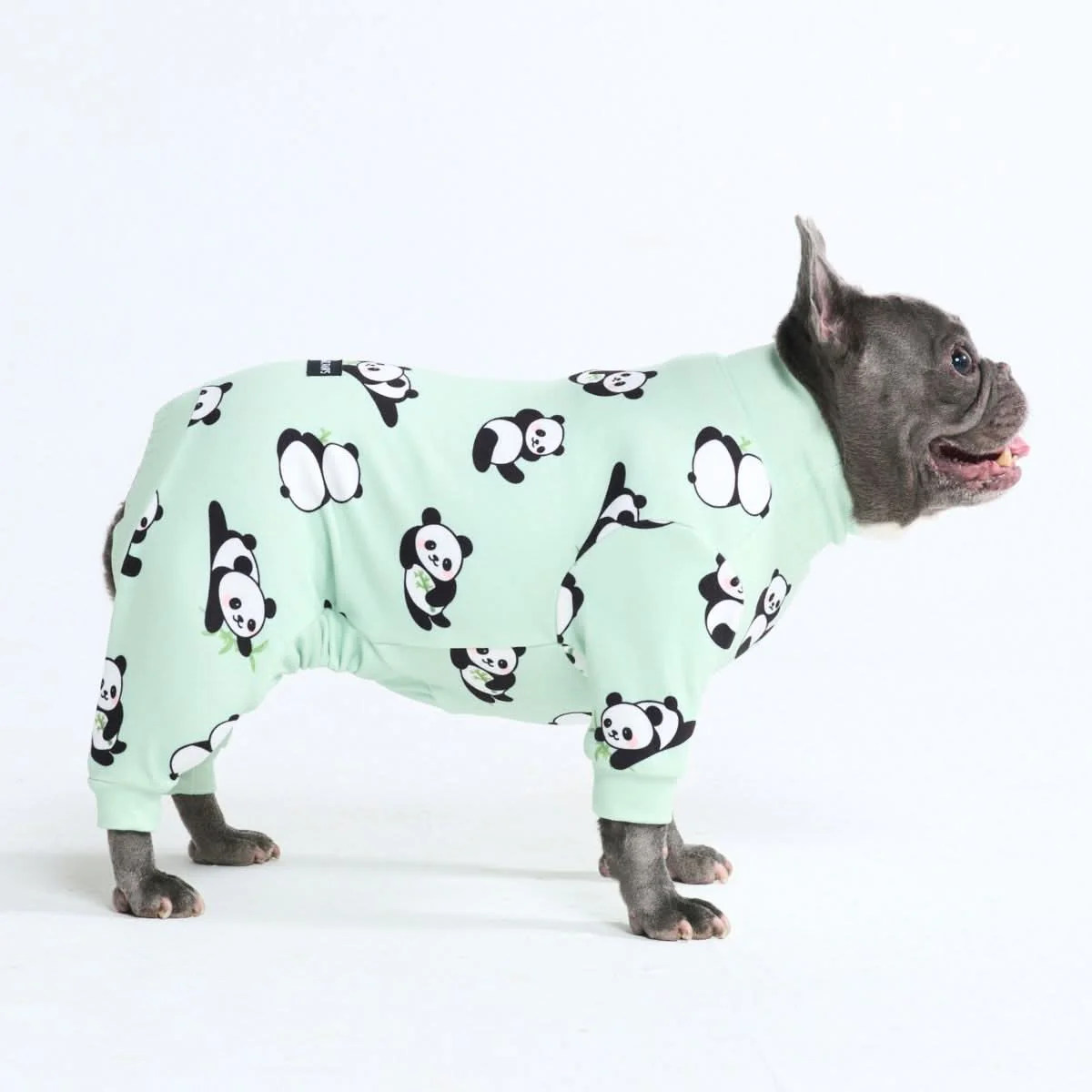 Dog Pajama Prints - Image 13