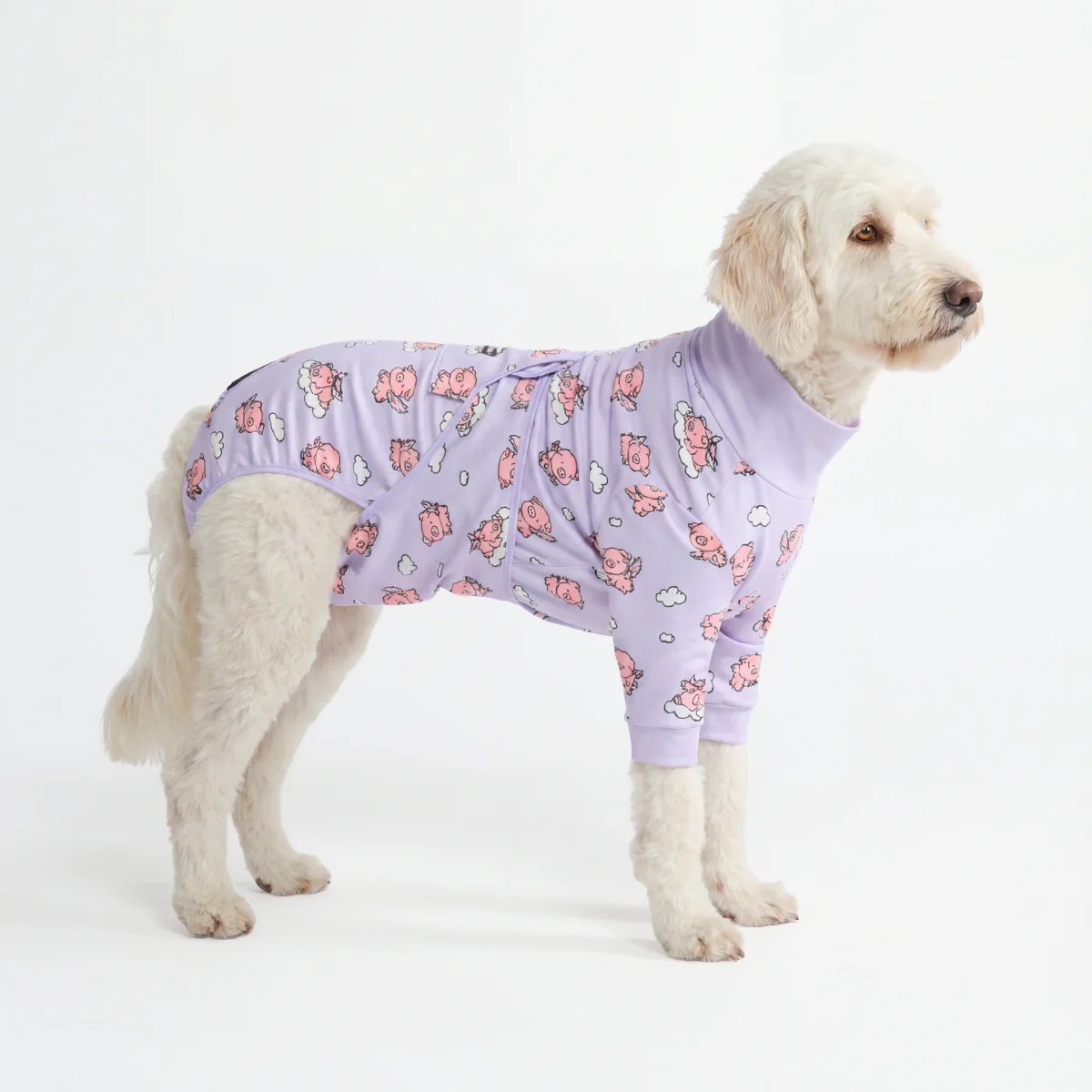 Dog Surgical Suit - When Pigs Fly - Image 5