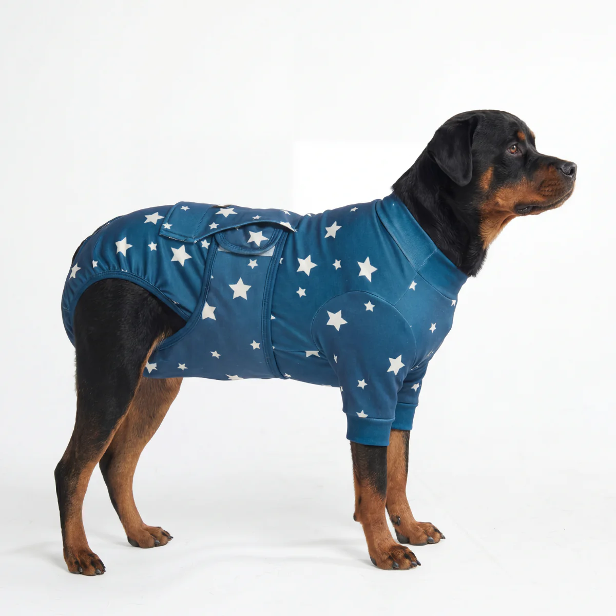 Dog Surgical Suit - Stars - Image 6