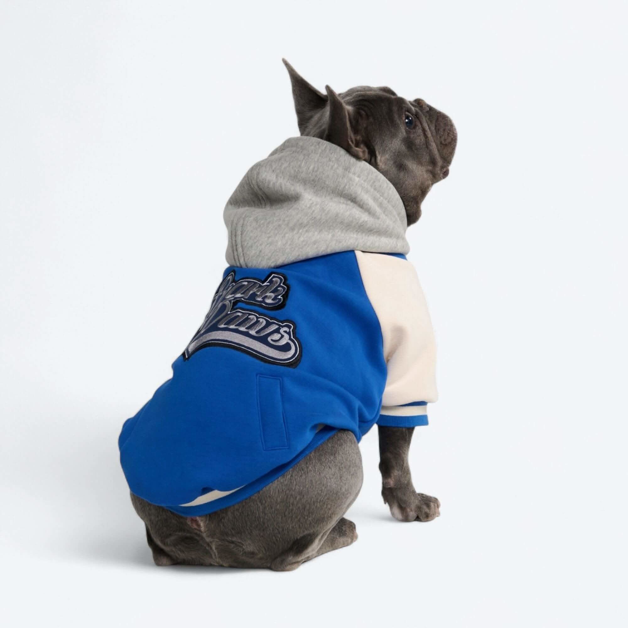 Dog Varsity Jackets - Image 26