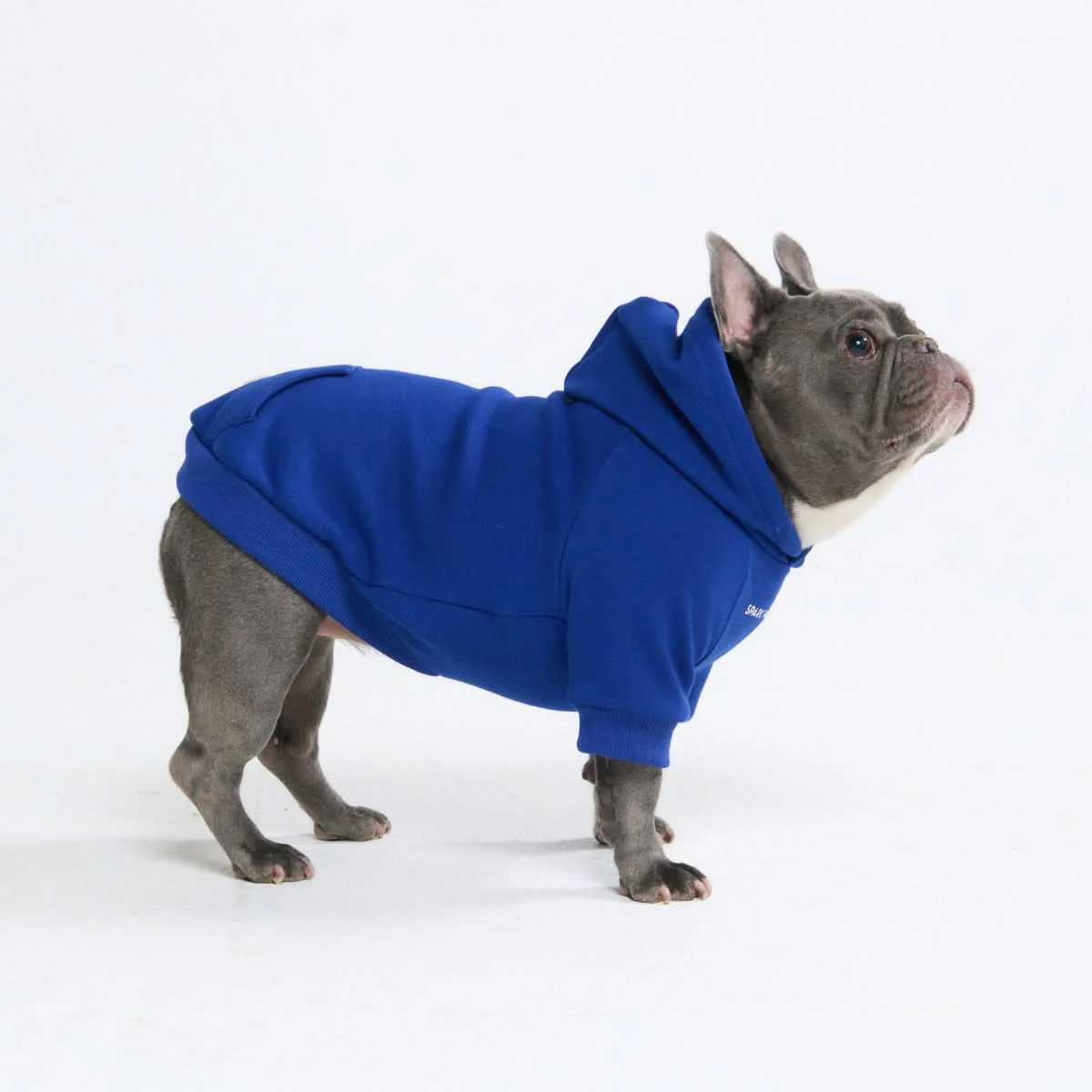 Essential Dog Hoodies - Image 25