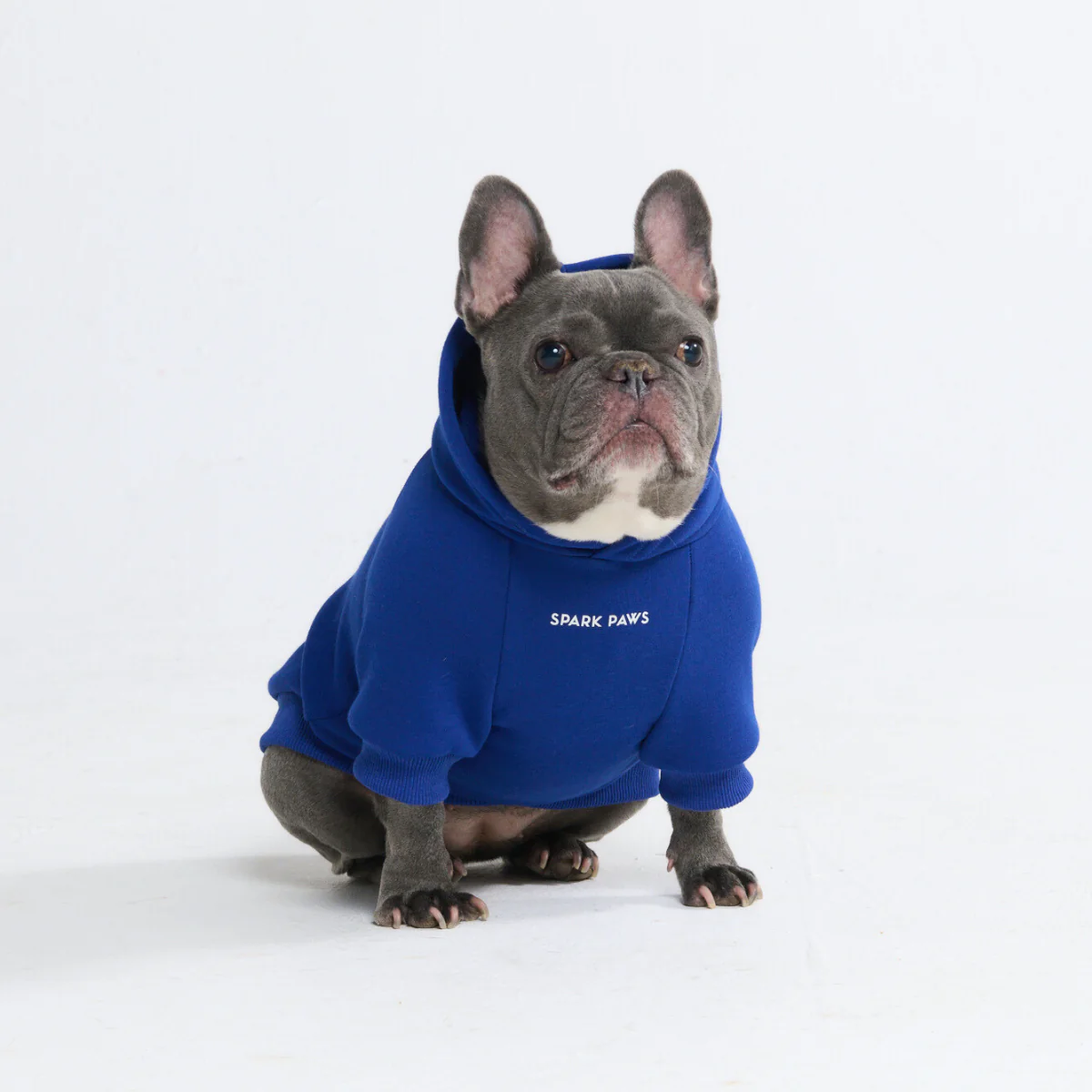 Essential Dog Hoodies - Image 34