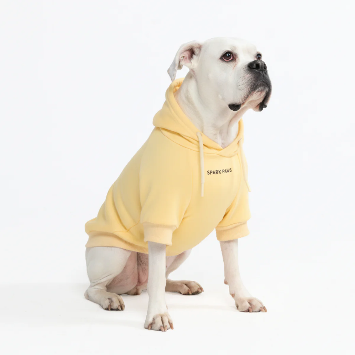 Essential Dog Hoodies - Image 40