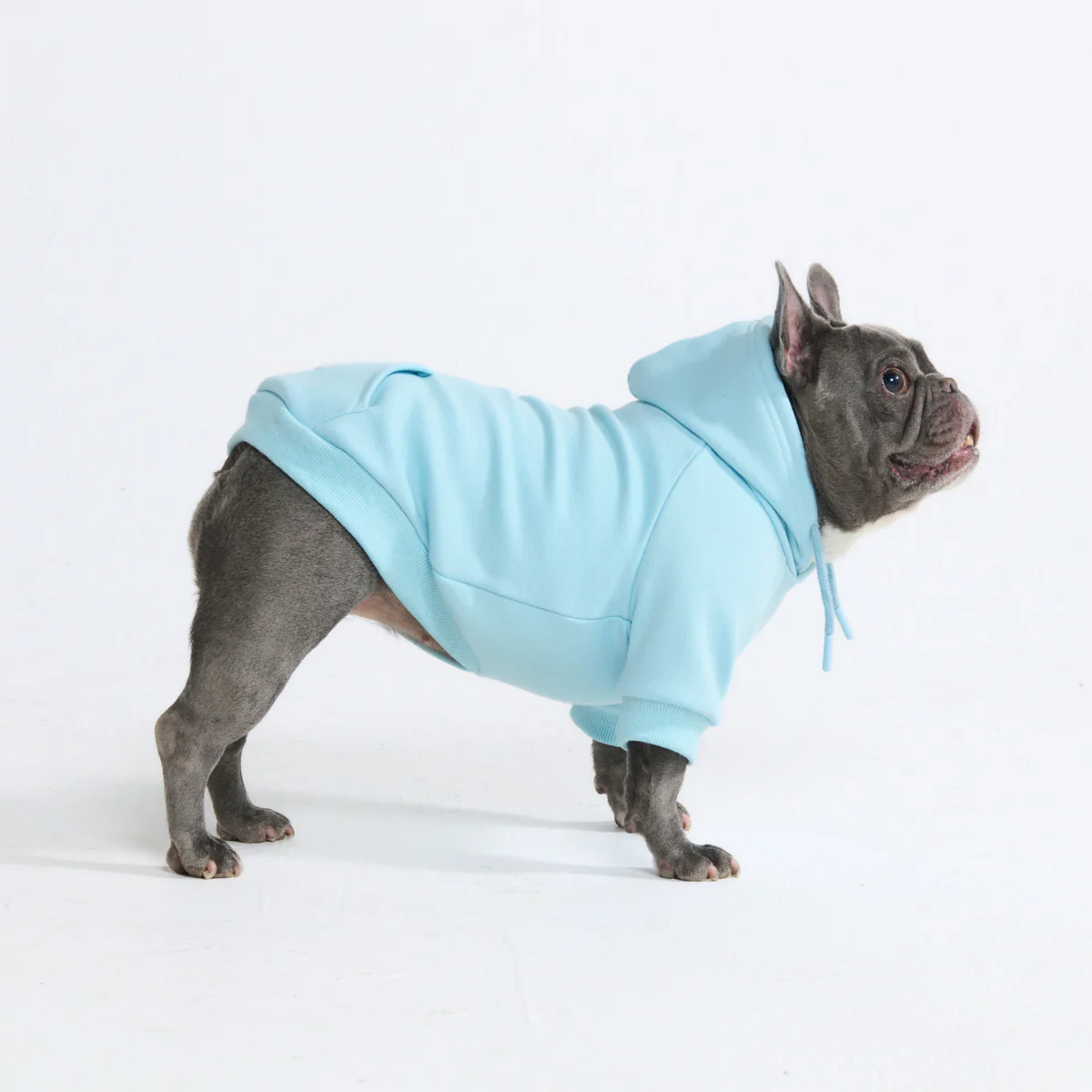 Essential Dog Hoodies - Image 58