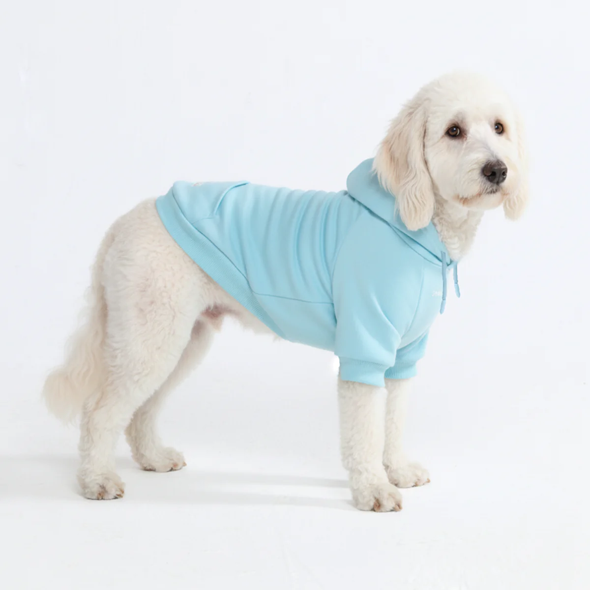 Essential Dog Hoodies - Image 62