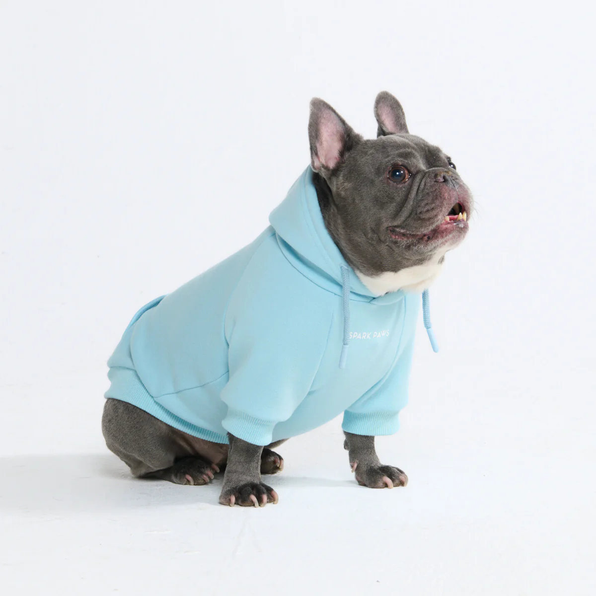 Essential Dog Hoodies - Image 66