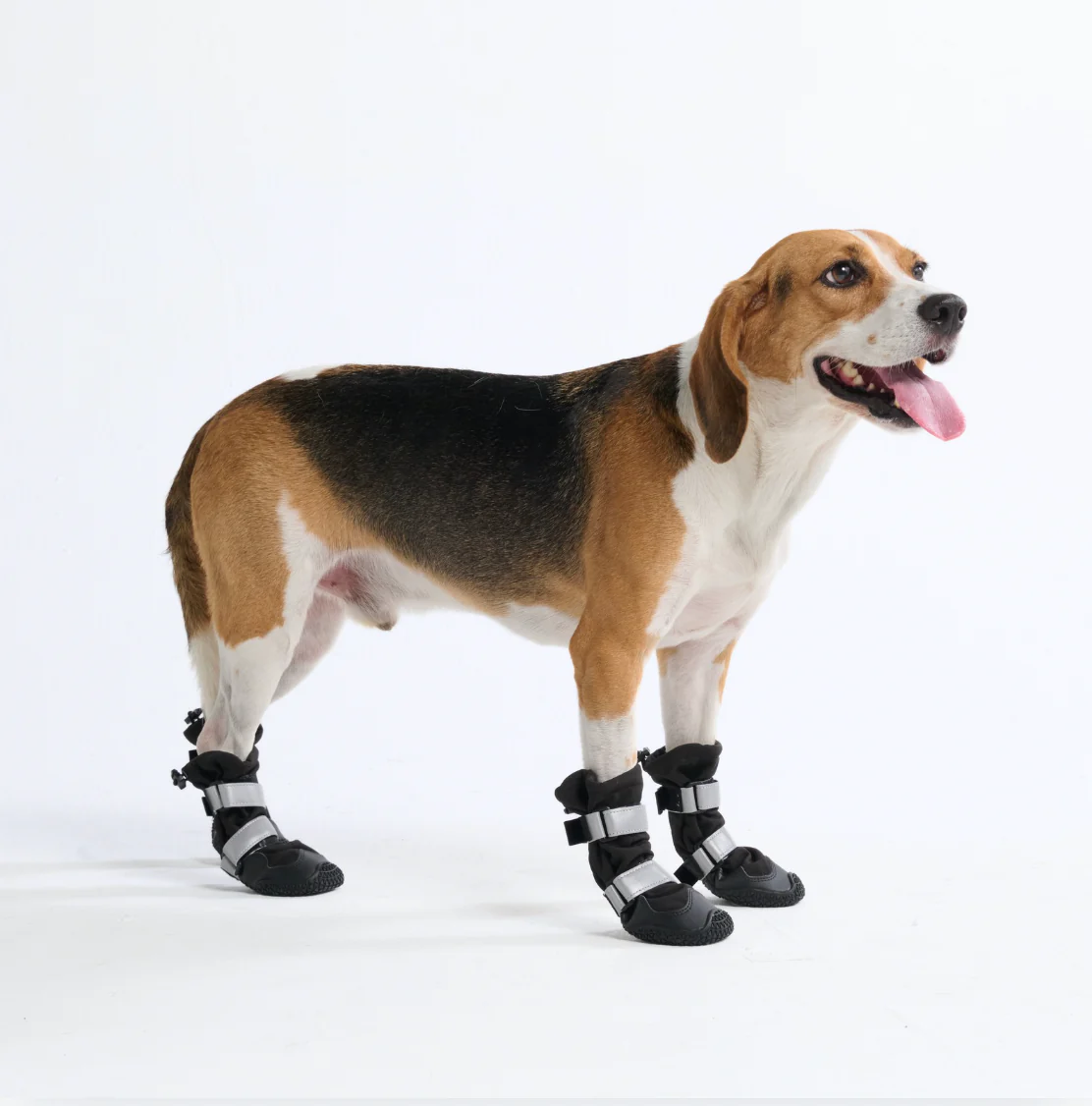 Dog Rainboots, Waterproof Dog Shoes - Black - Image 5