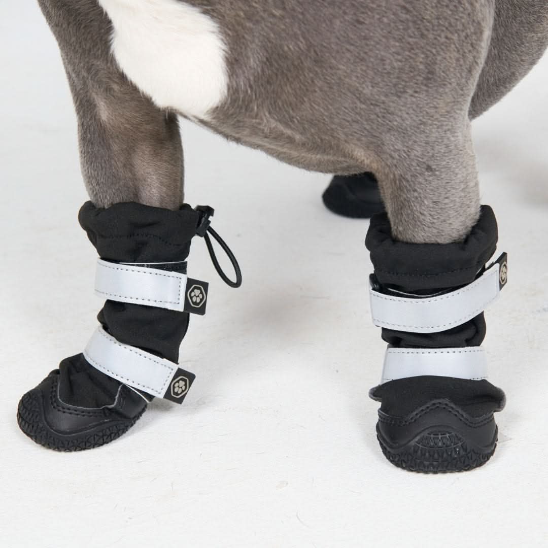 Dog Rainboots, Waterproof Dog Shoes - Black - Image 7