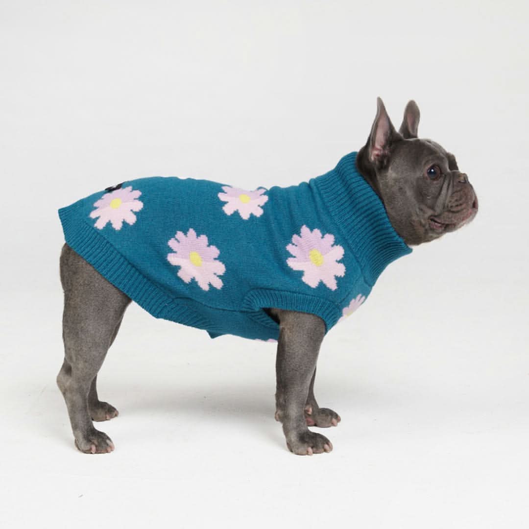 Flower Knit Dog Sweater - Image 3