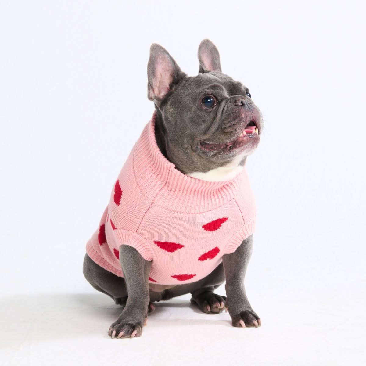 Knit Dog Sweater Prints - Image 30