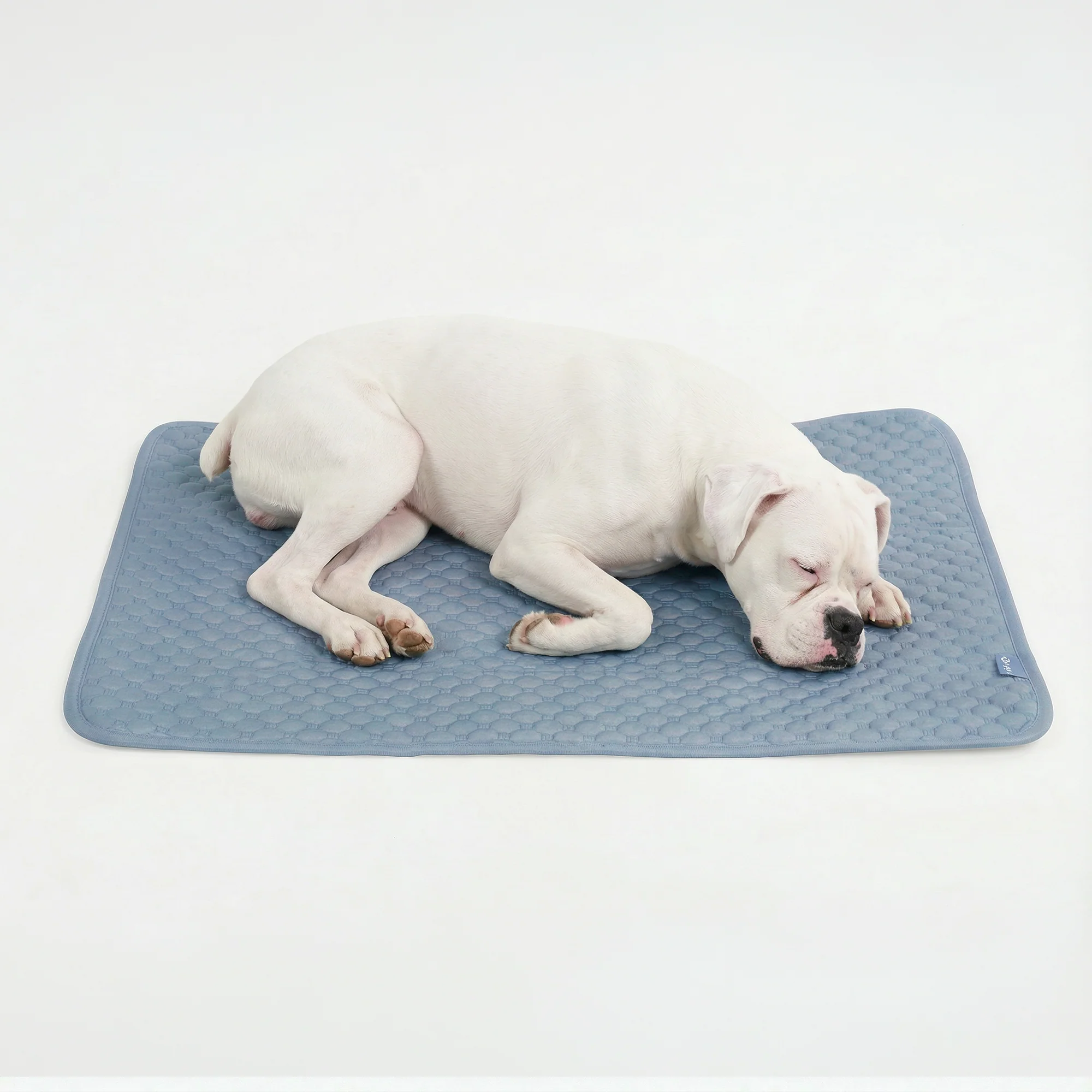 Frostcore™ Cooling Mat - Ash Blue - Image 4