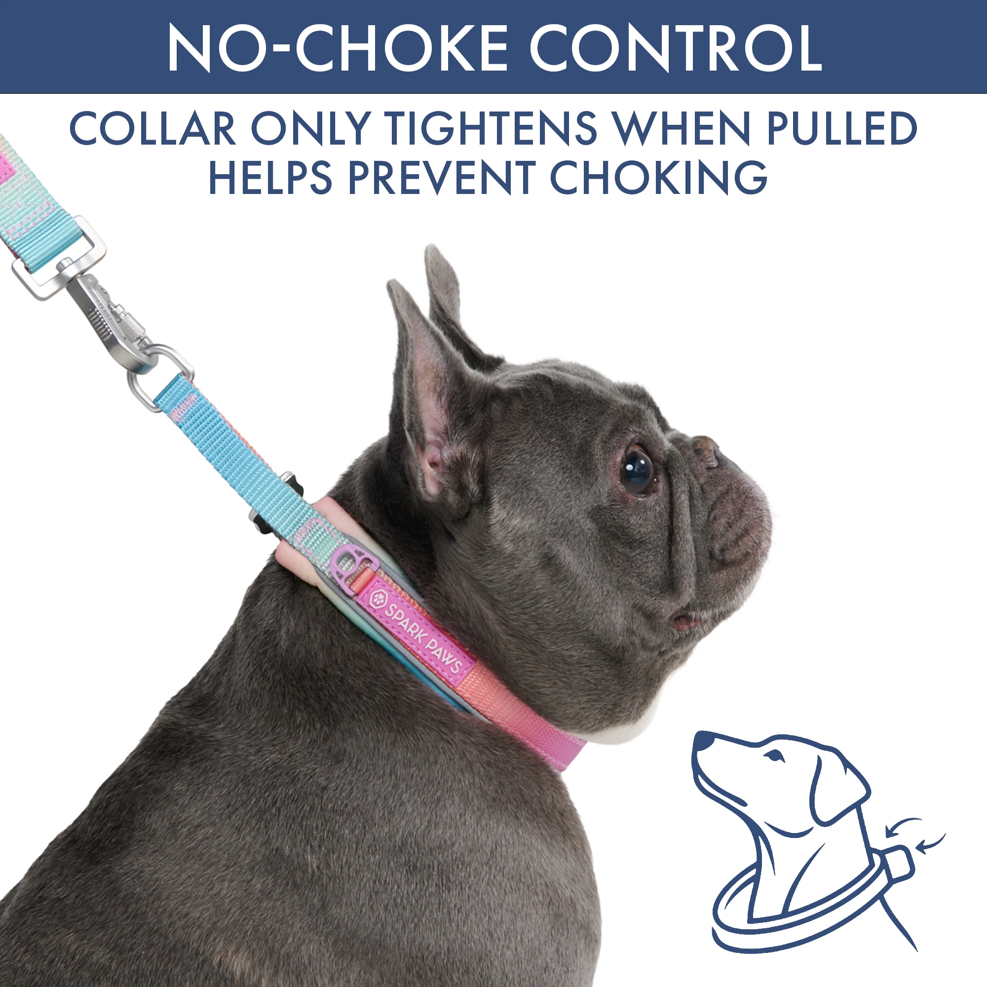 Martingale Collar and Multipurpose Leash Sets - Image 22