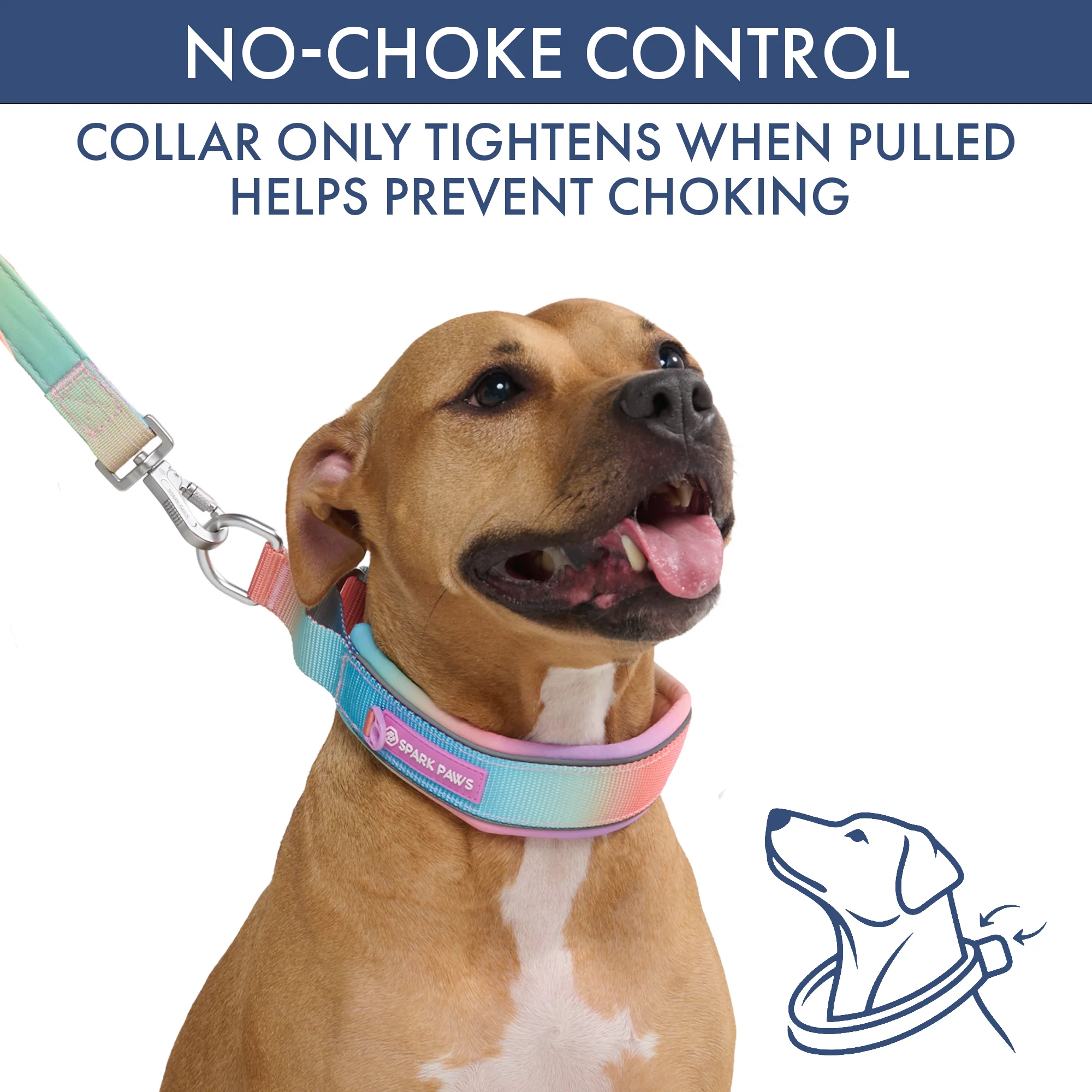 Martingale Collar and Multipurpose Leash Sets - Image 23