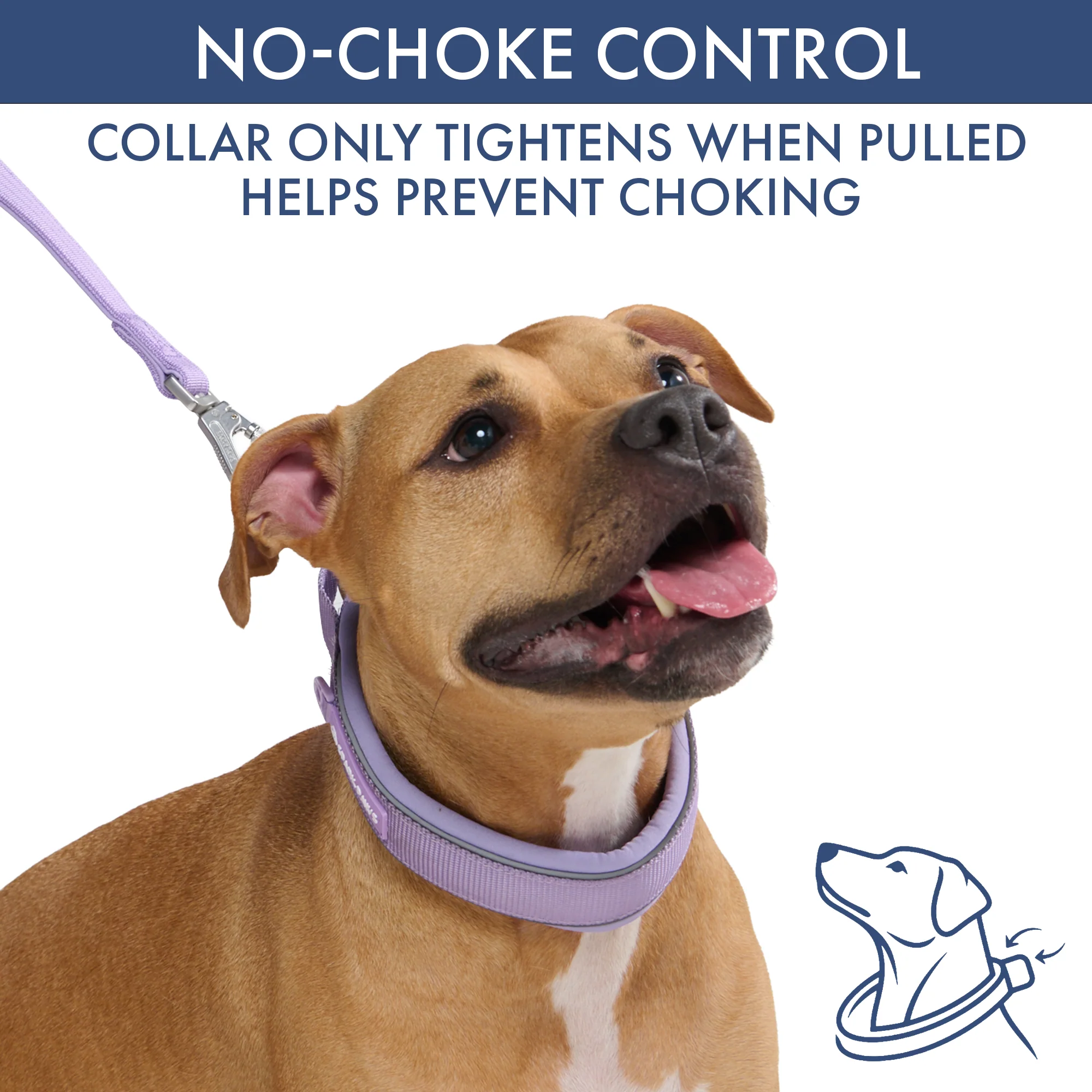 Martingale Collar and Multipurpose Leash Sets - Image 63