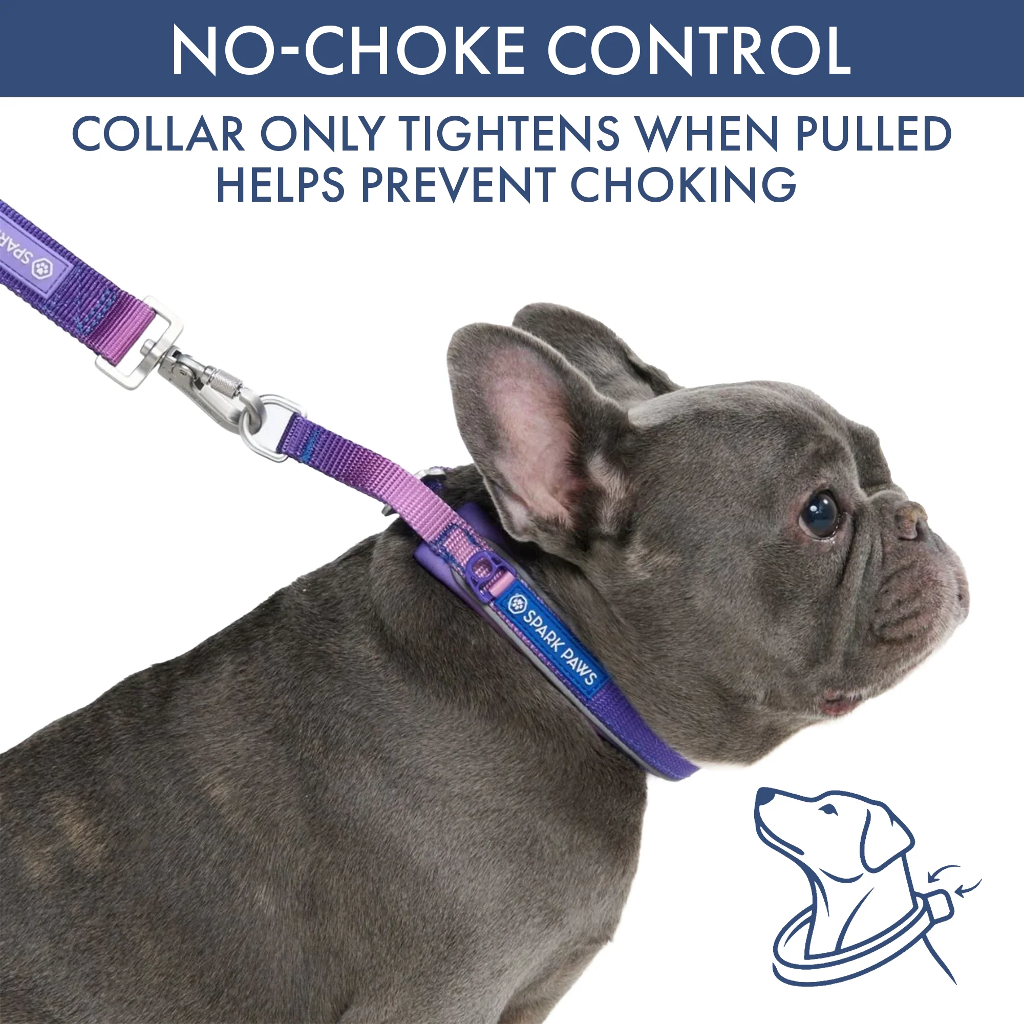 Martingale Collar Sets - Image 12