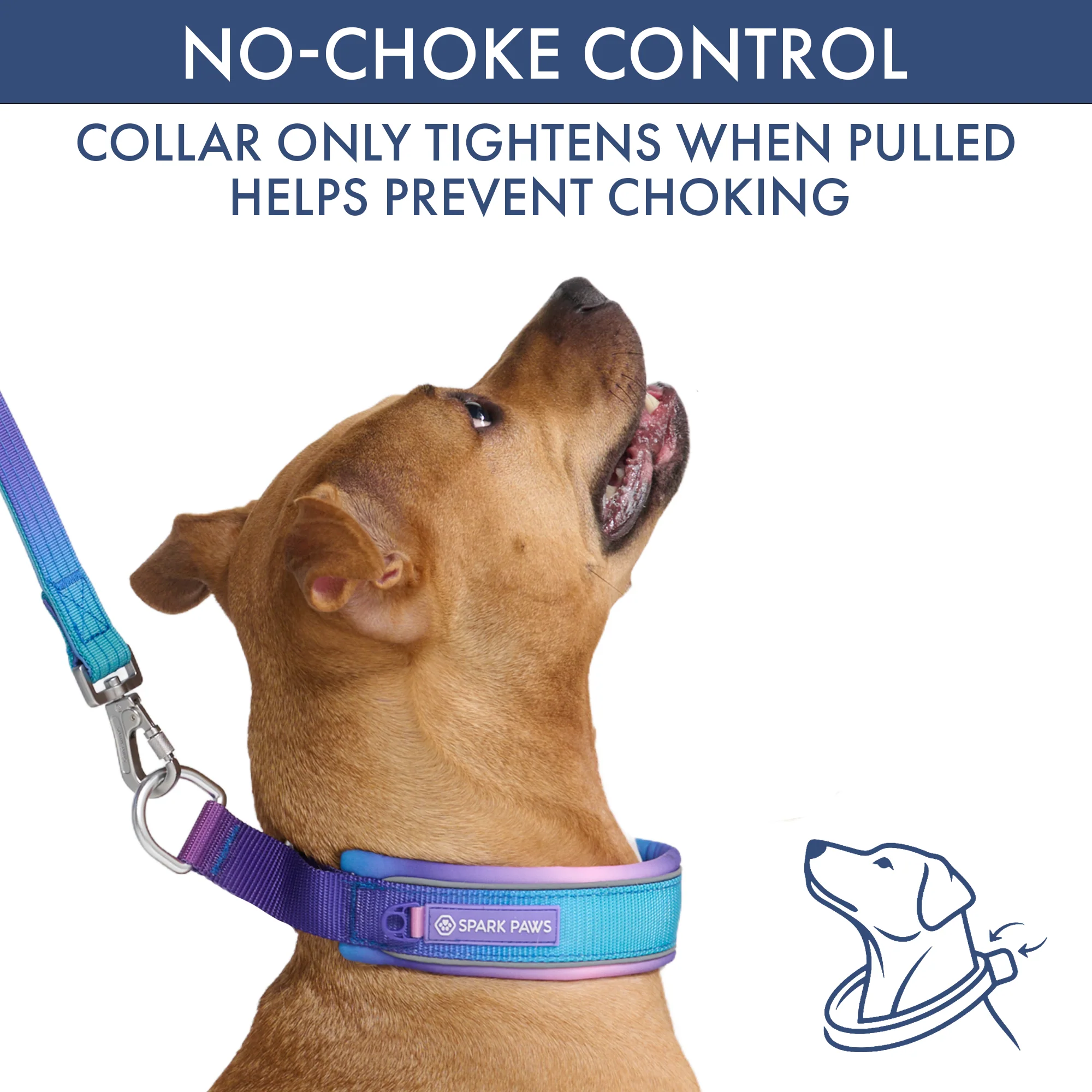 Martingale Collar Sets - Image 13