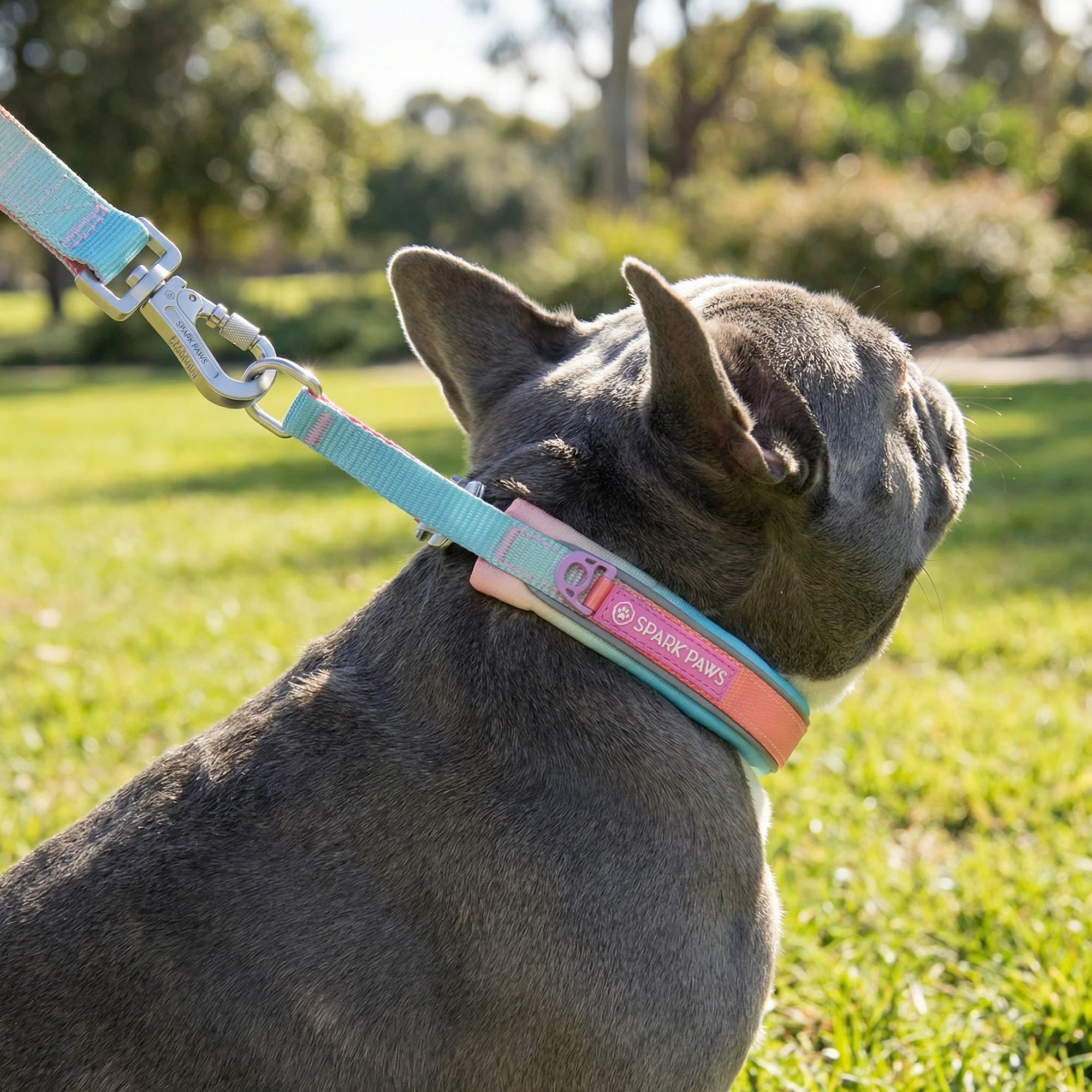 Martingale Collar Sets - Image 30