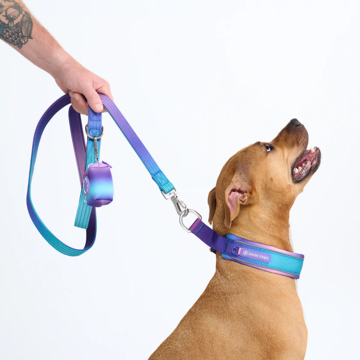Cushioned Martingale Collar - 90s Retro - Image 10