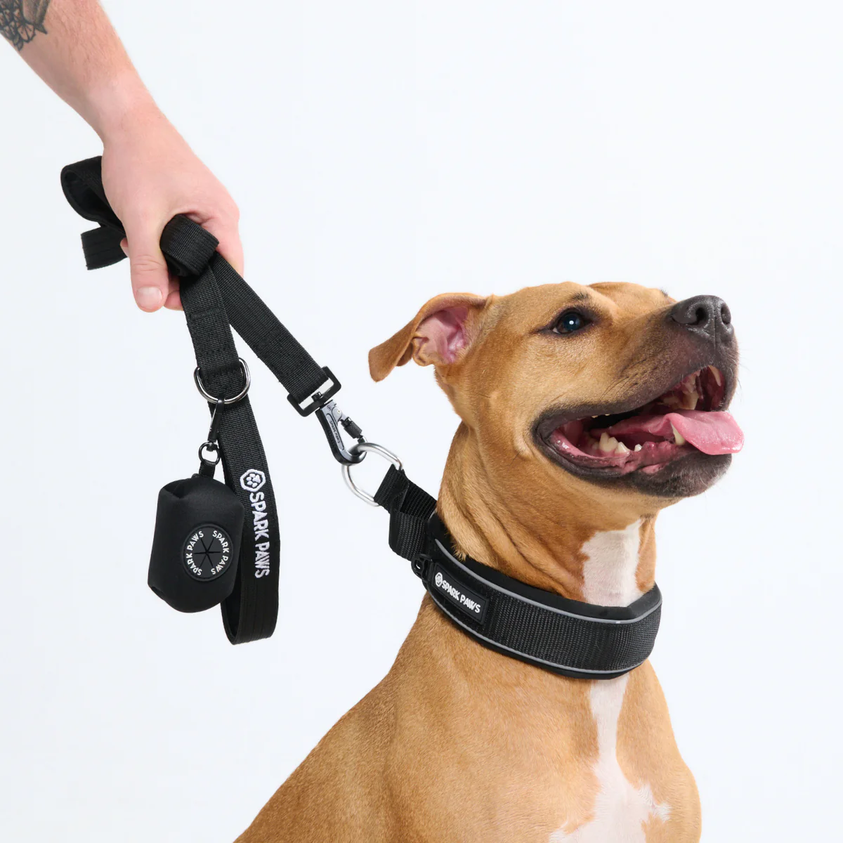 Cushioned Martingale Collar - Black - Image 8