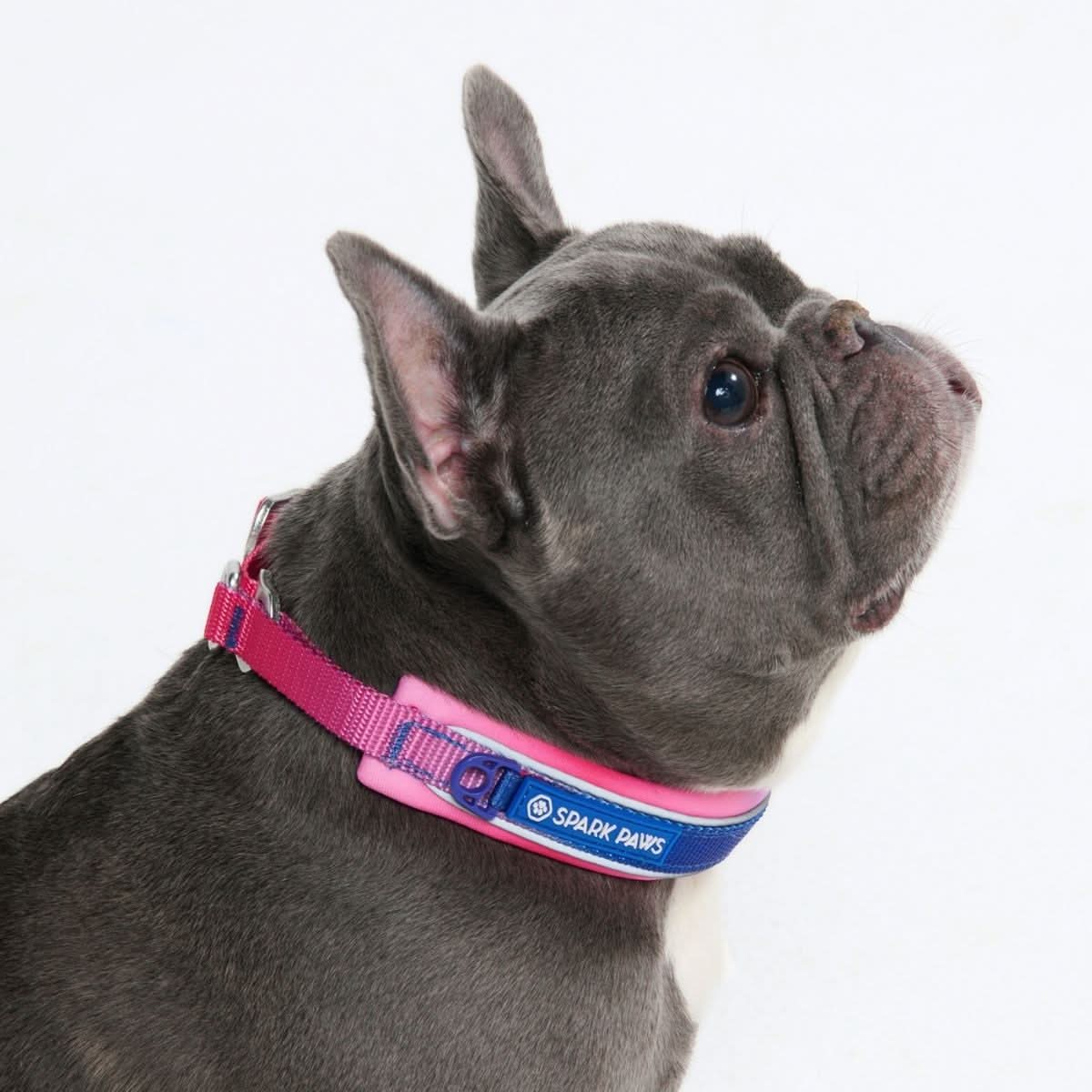 Cushioned Martingale Collar - Snow Cone - Image 4